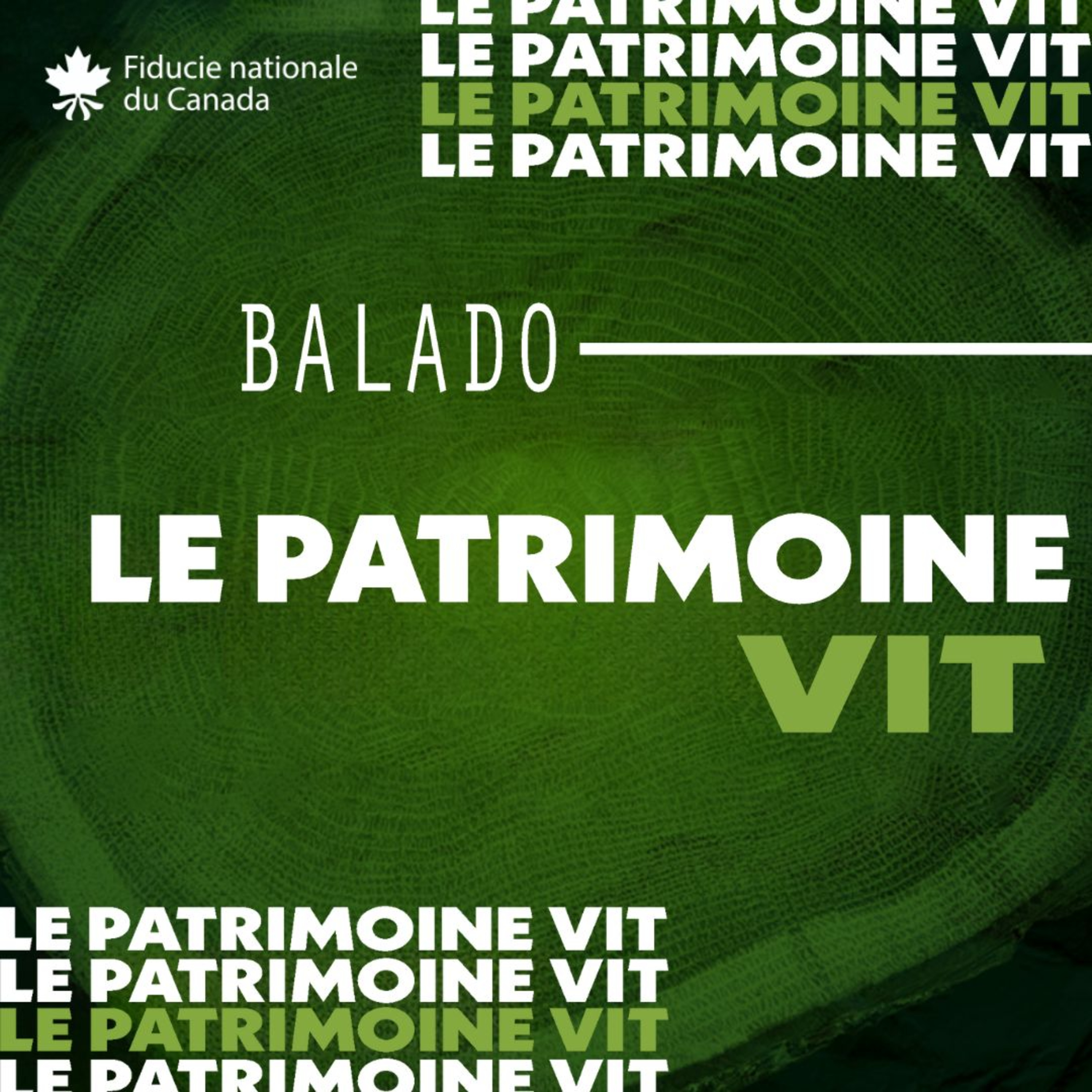 Le patrimoine et l'inclusion avec Parker Mah episode artwork