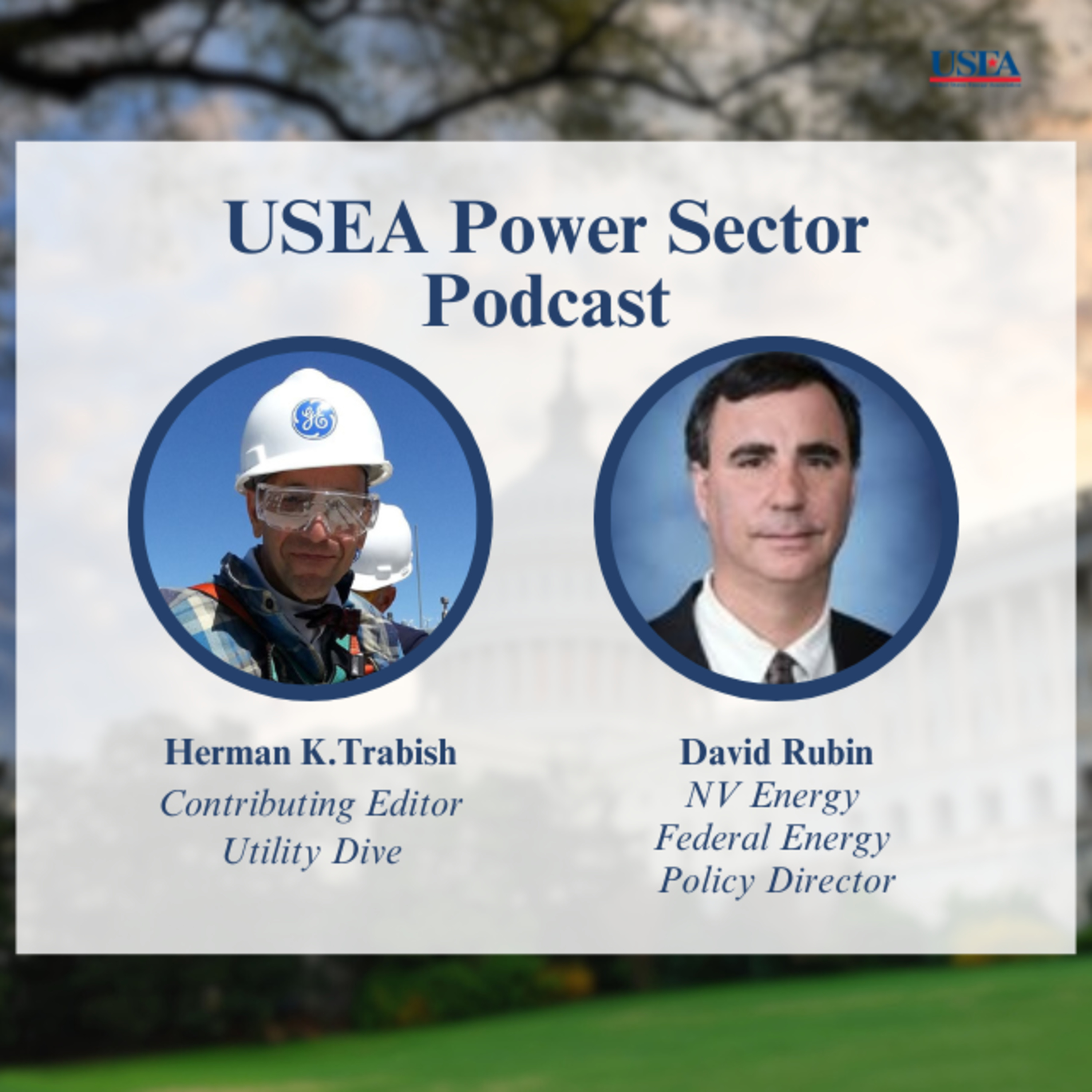 USEA Power Sector Podcast Episode 13: NV Energy Federal Energy Policy Director David Rubin episode artwork