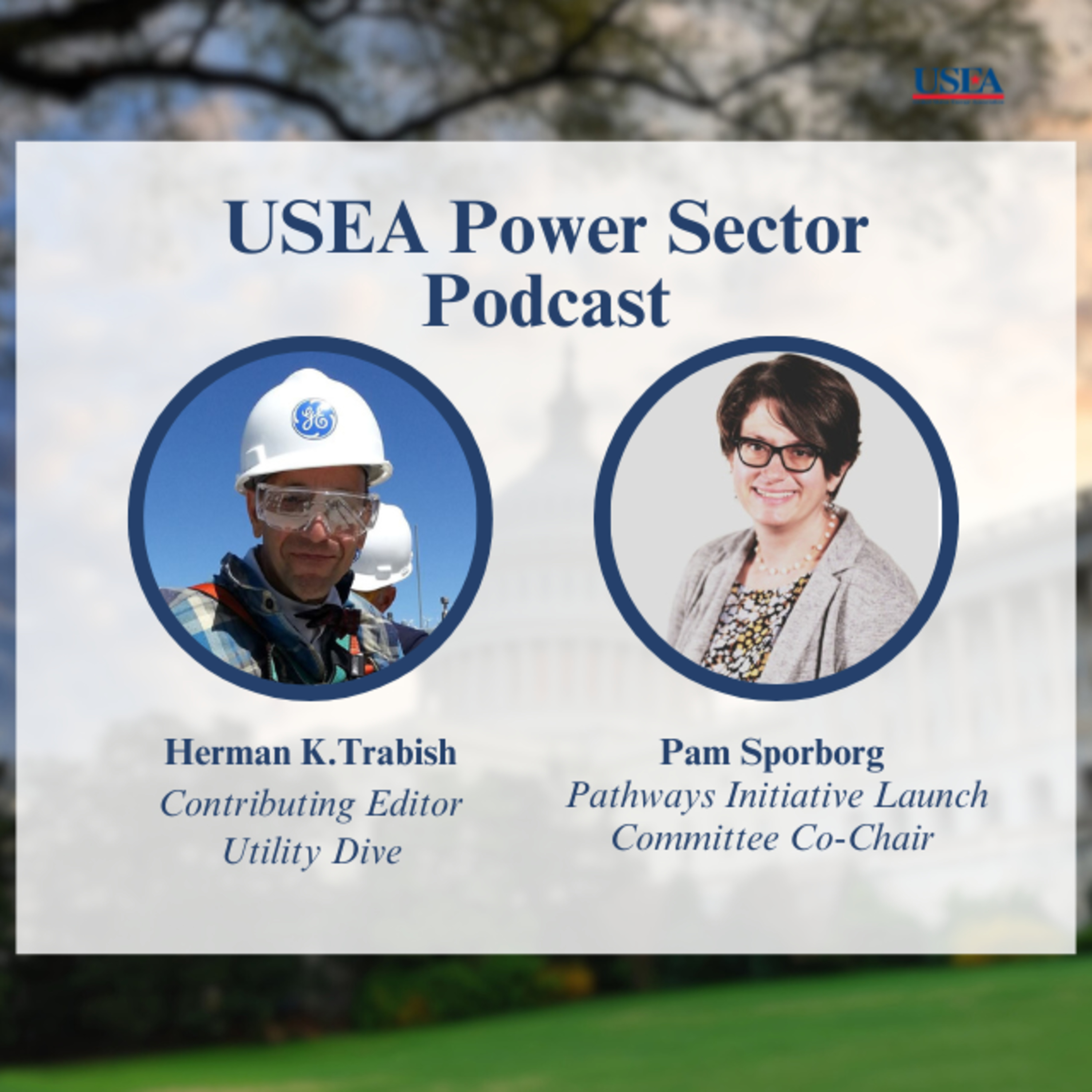 USEA Power Sector Podcast Episode 20: Pathways Initiative Launch Committee Co-Chair Pam Sporborg episode artwork