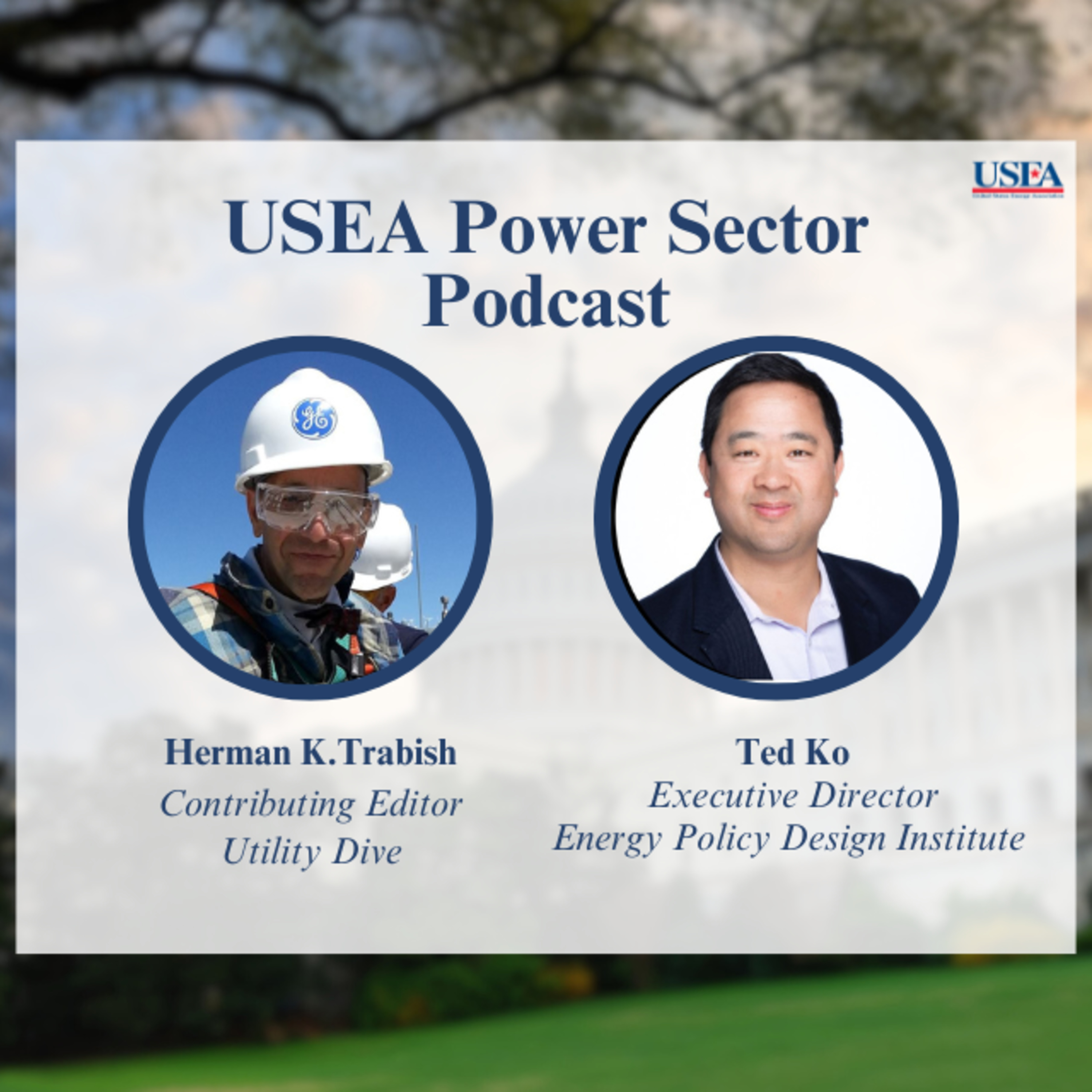 USEA Power Sector Podcast Episode 25: Energy Policy Design Institute Executive Director Ted Ko episode artwork