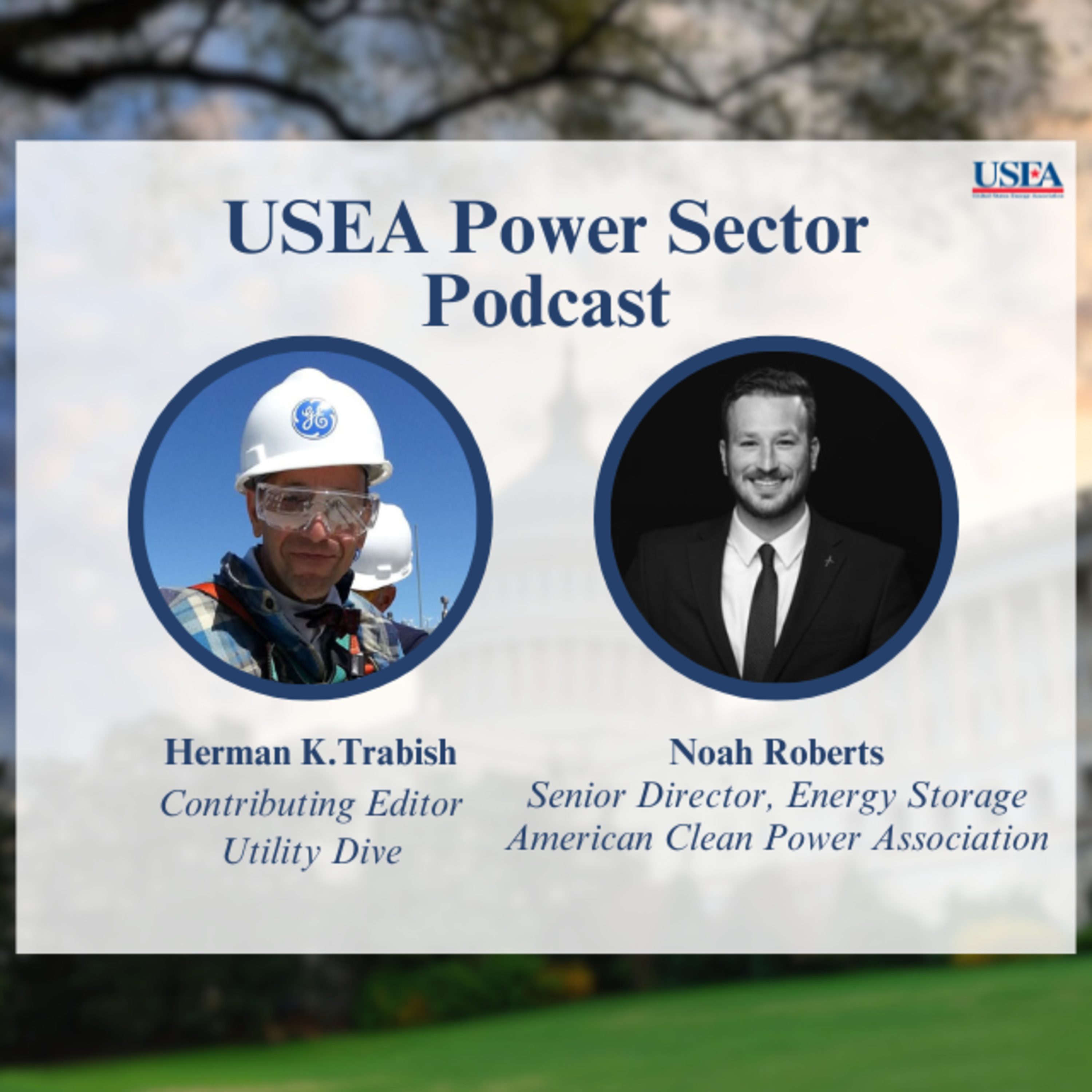 USEA Power Sector Podcast Episode 44: ACP Senior Director of Energy Storage Noah Roberts episode artwork