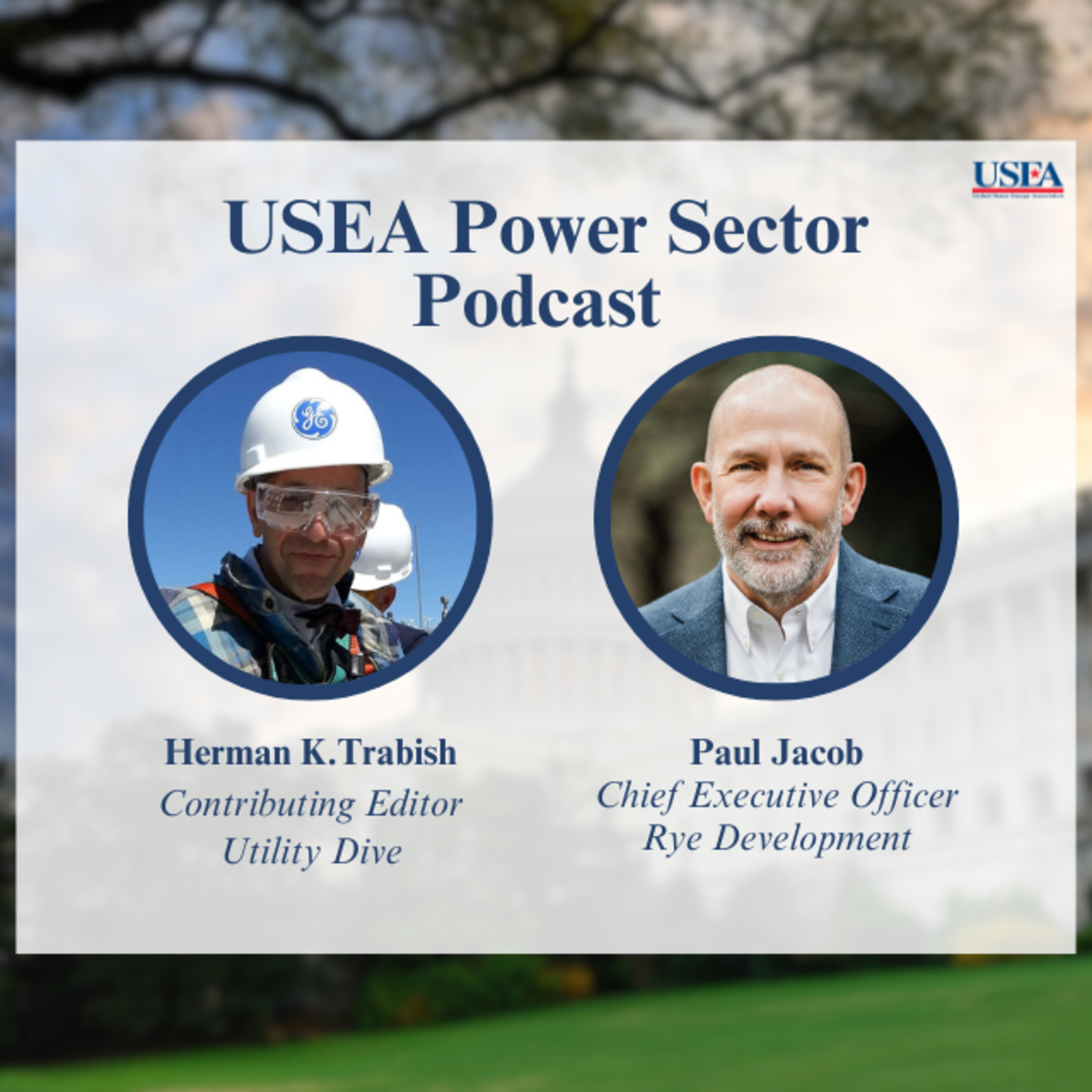 USEA Power Sector Podcast Episode 52: Rye Development CEO Paul Jacob episode artwork
