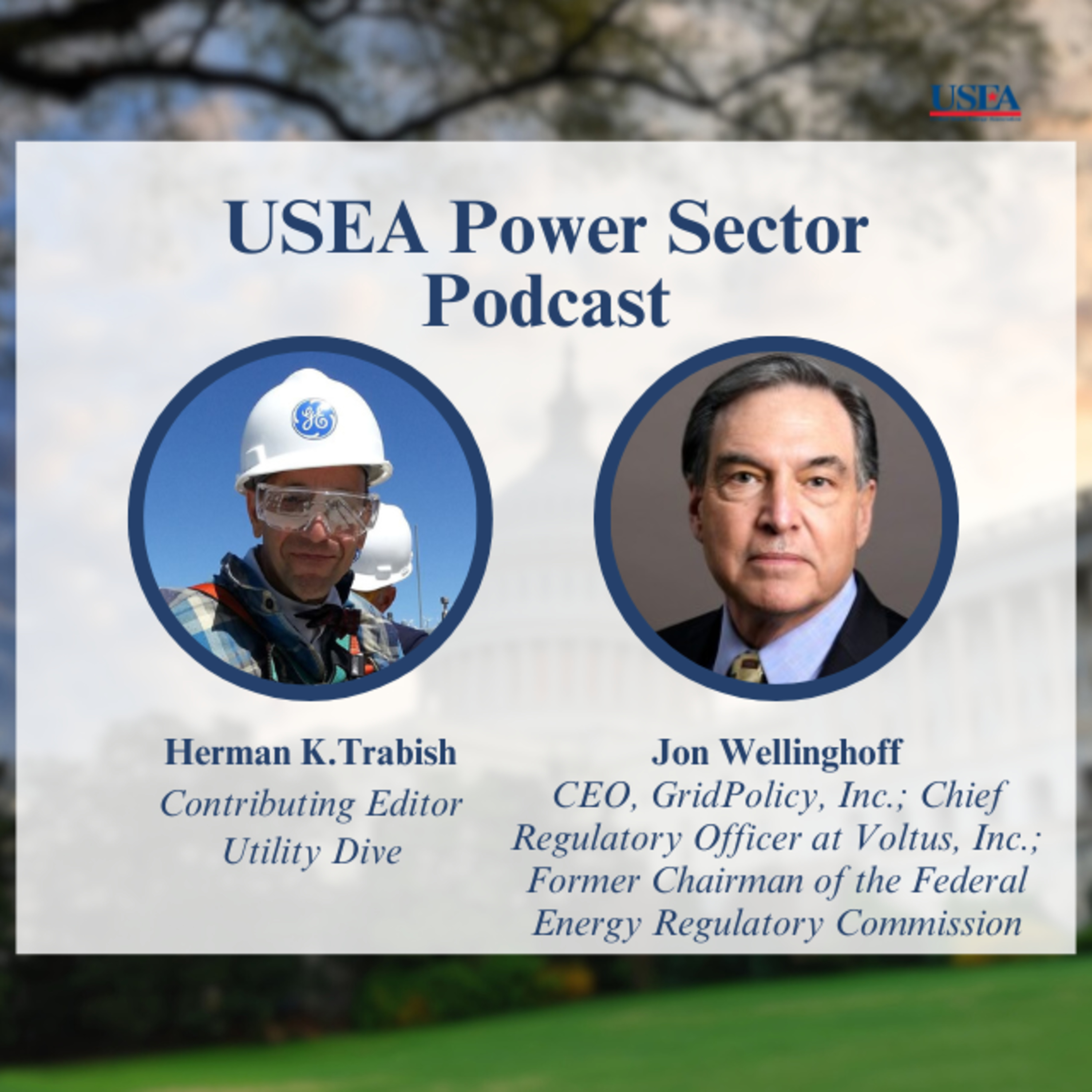 USEA Power Sector Podcast Episode 12: Former FERC Chair Jon Wellinghoff on Western Regionalization episode artwork