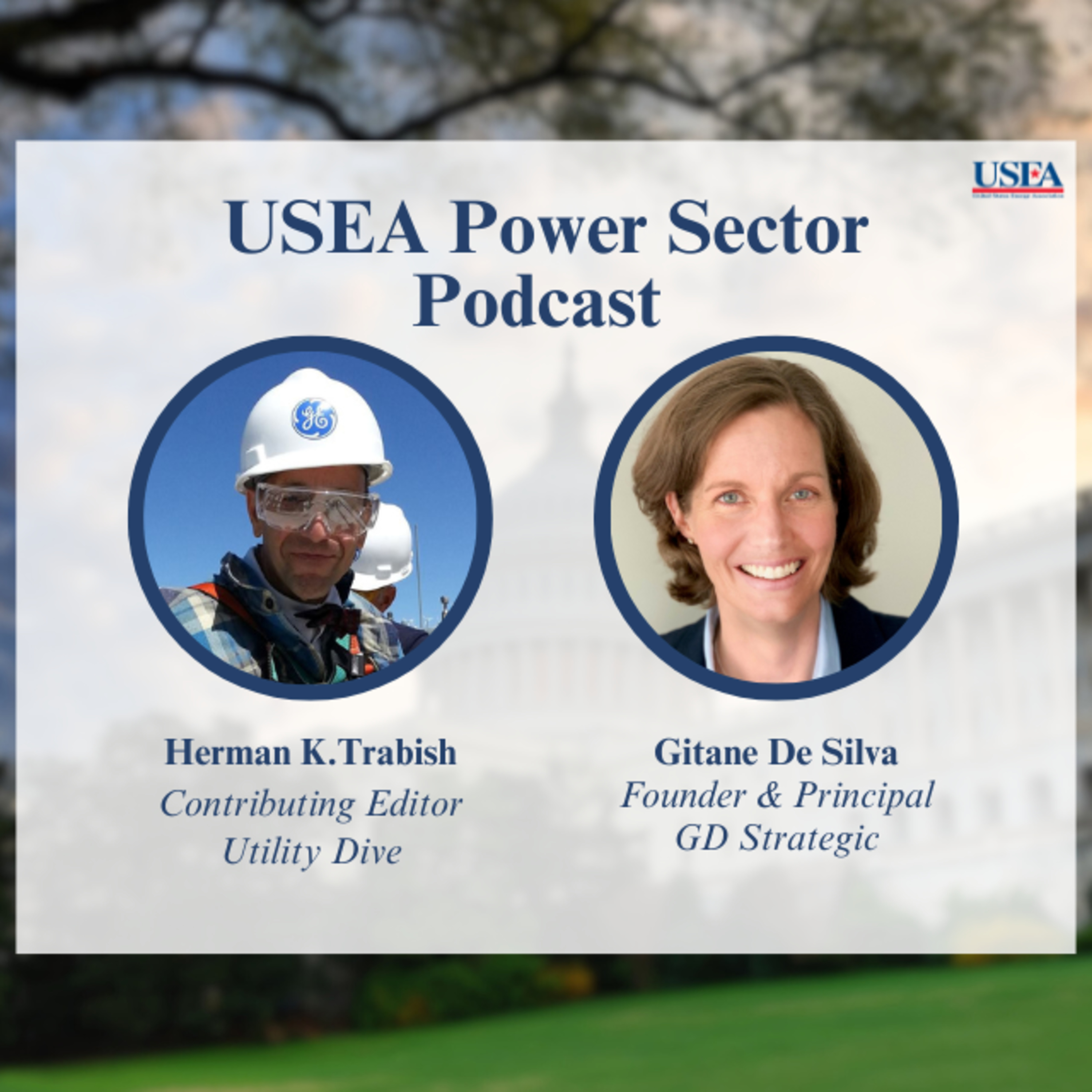 USEA Power Sector Podcast Episode 61: GD Strategic Founder & Principal Gitane De Silva episode artwork