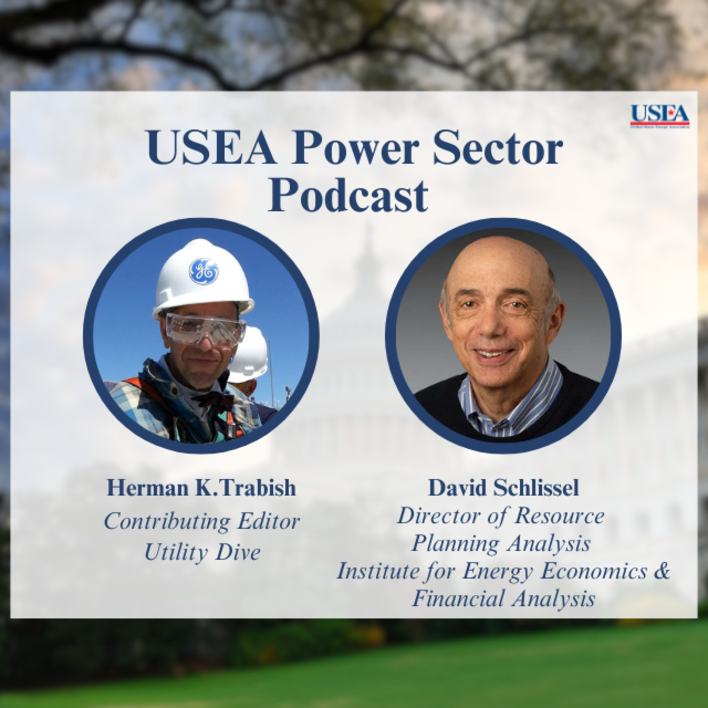 USEA Power Sector Podcast Episode 70: IEEFA Director of Resource Planning Analysis David Schlissel episode artwork