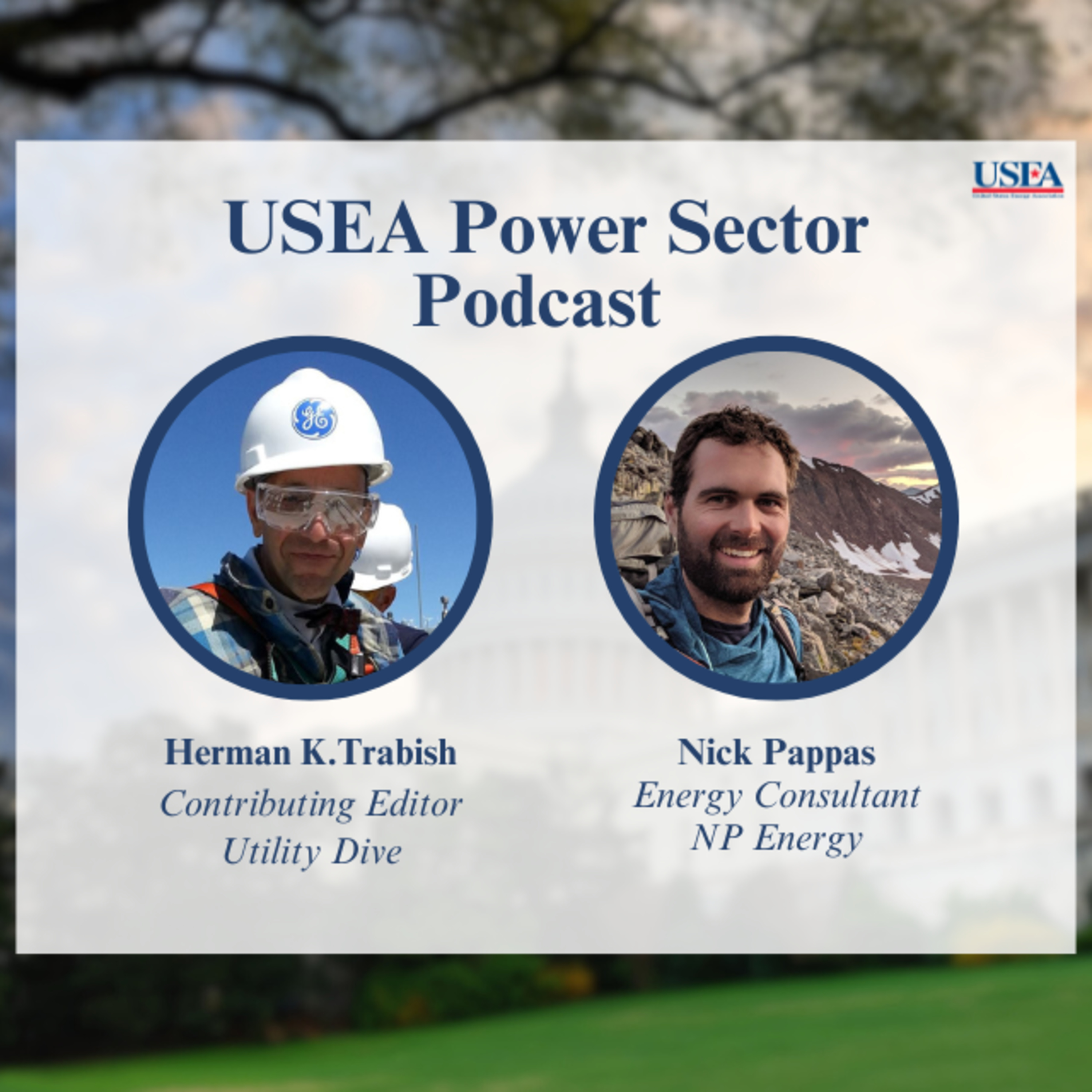 USEA Power Sector Podcast Episode 82: NP Energy Consultant Nick Pappas episode artwork