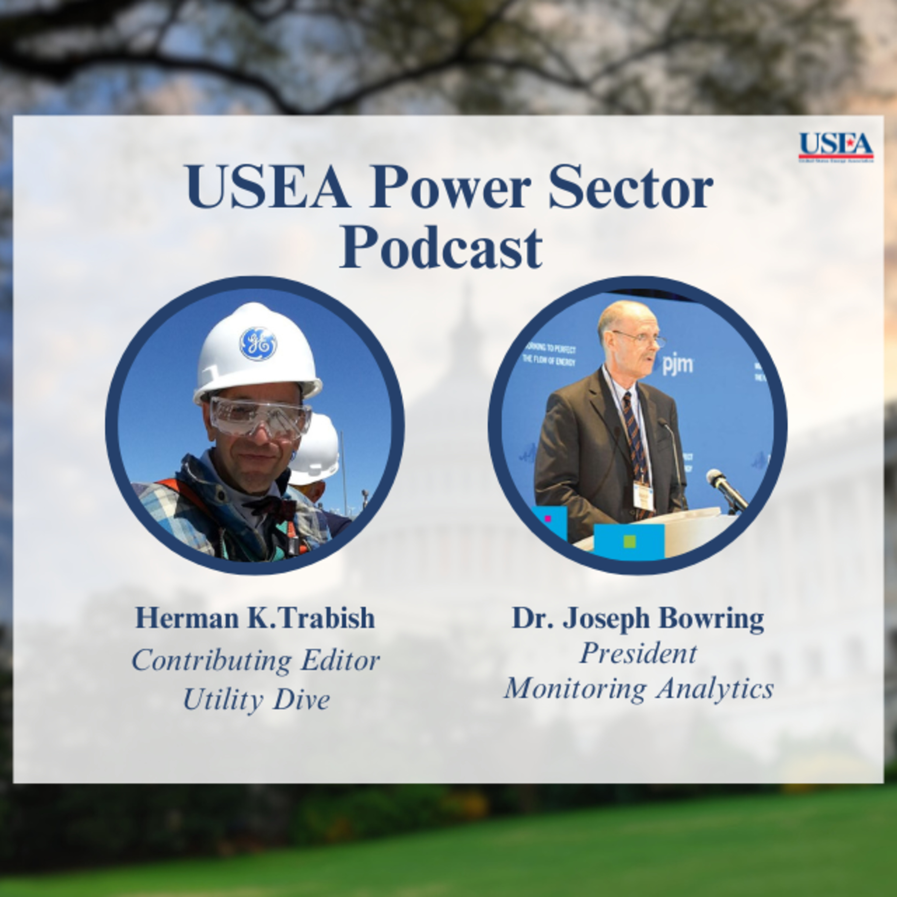 USEA Power Sector Podcast Episode 83: Monitoring Analytics President Dr. Joseph Bowring episode artwork
