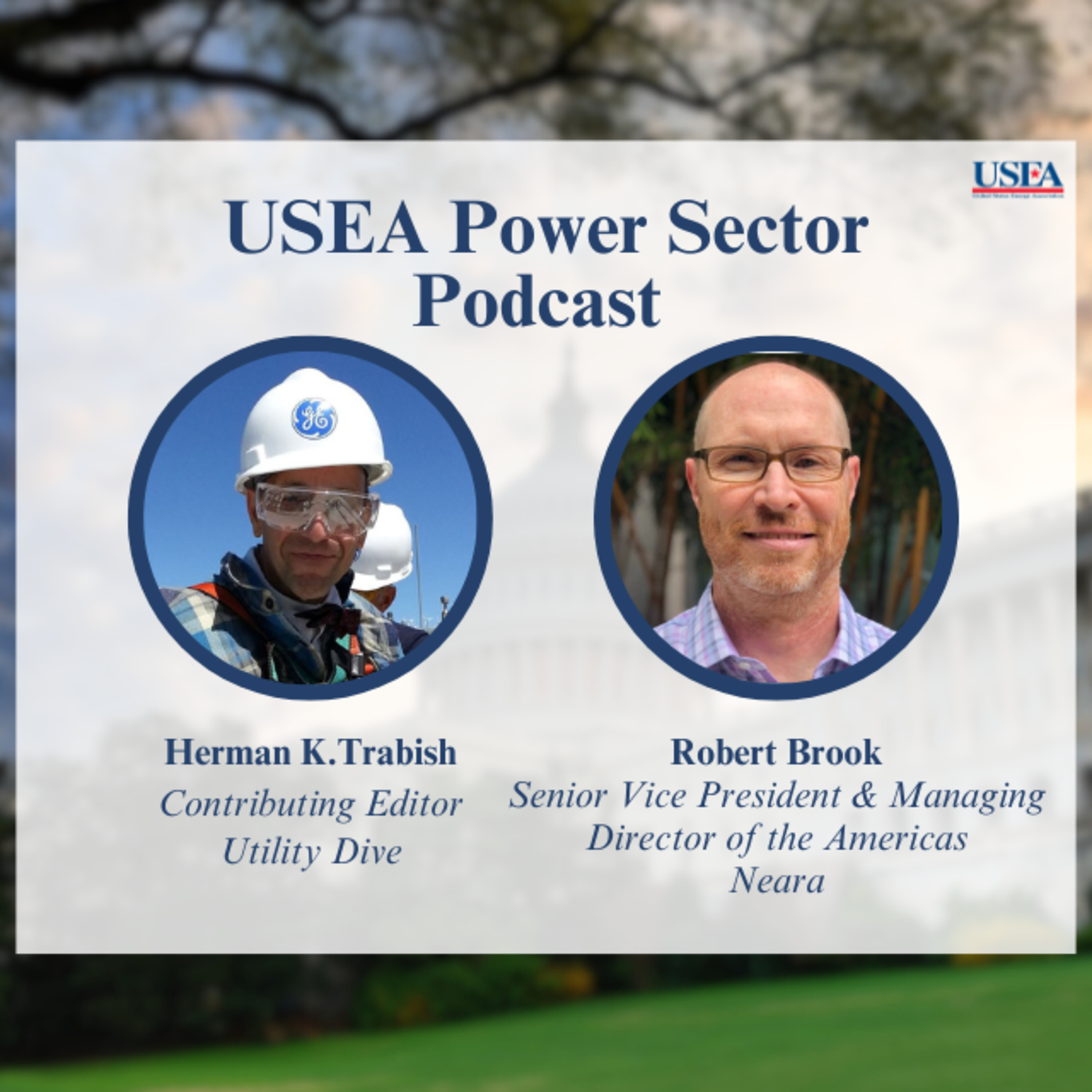 USEA Power Sector Podcast Episode 90: Neara Senior Vice President and Managing Director of the Americas Robert Brook episode artwork