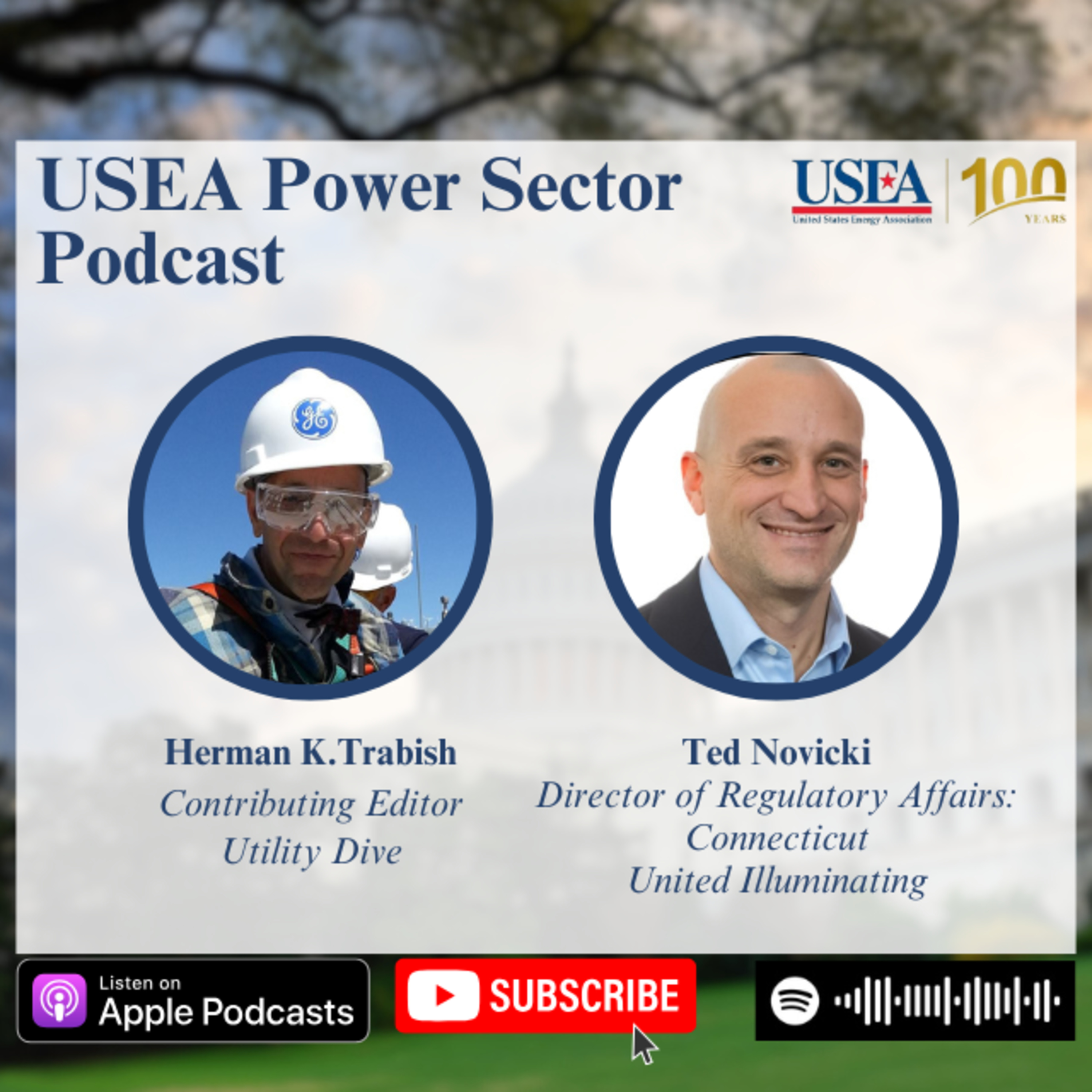 USEA Power Sector Podcast Episode 103: United Illuminating Director of Regulatory Affairs Ted Novicki episode artwork