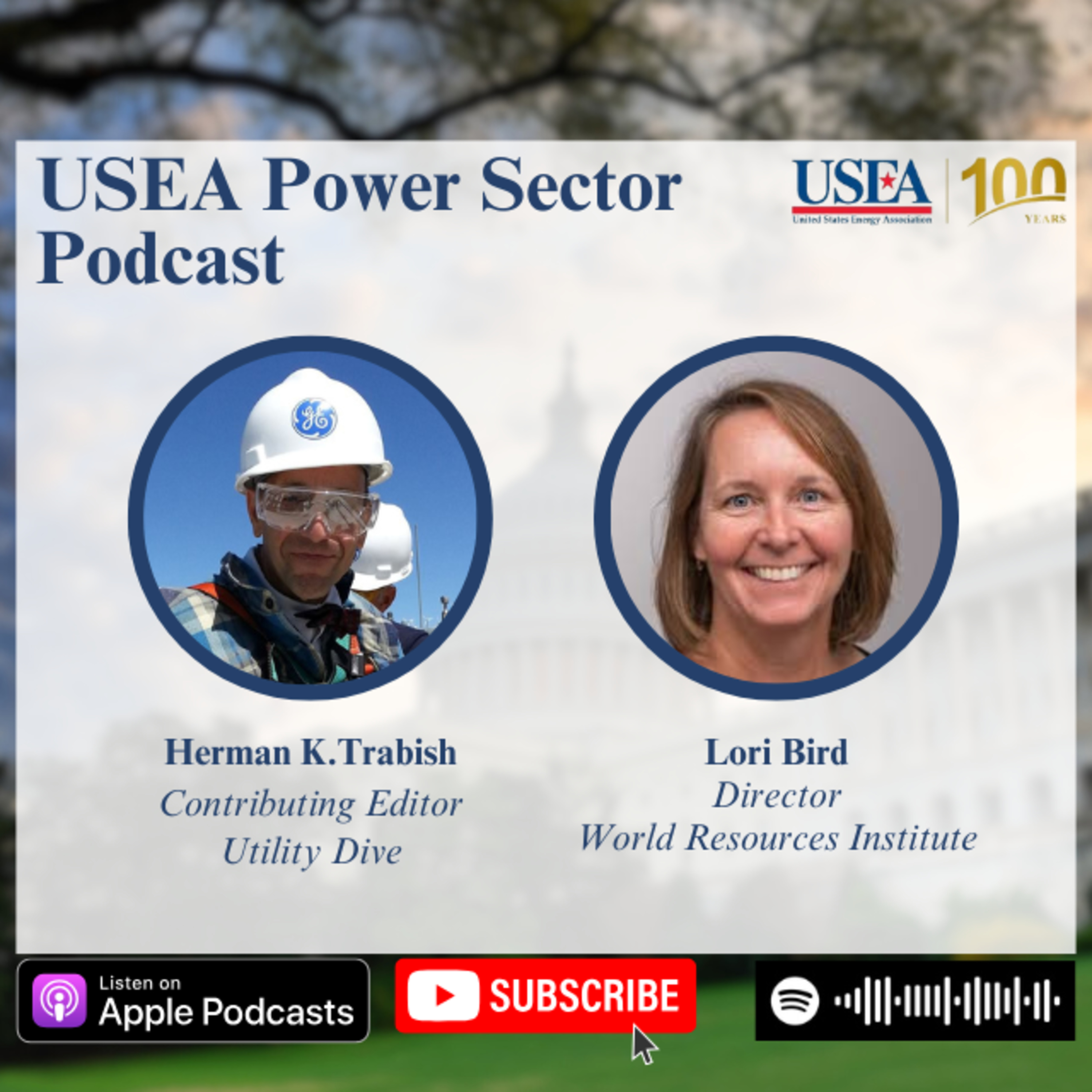 USEA Power Sector Podcast Episode 110: World Resources Institute Director Lori Bird episode artwork