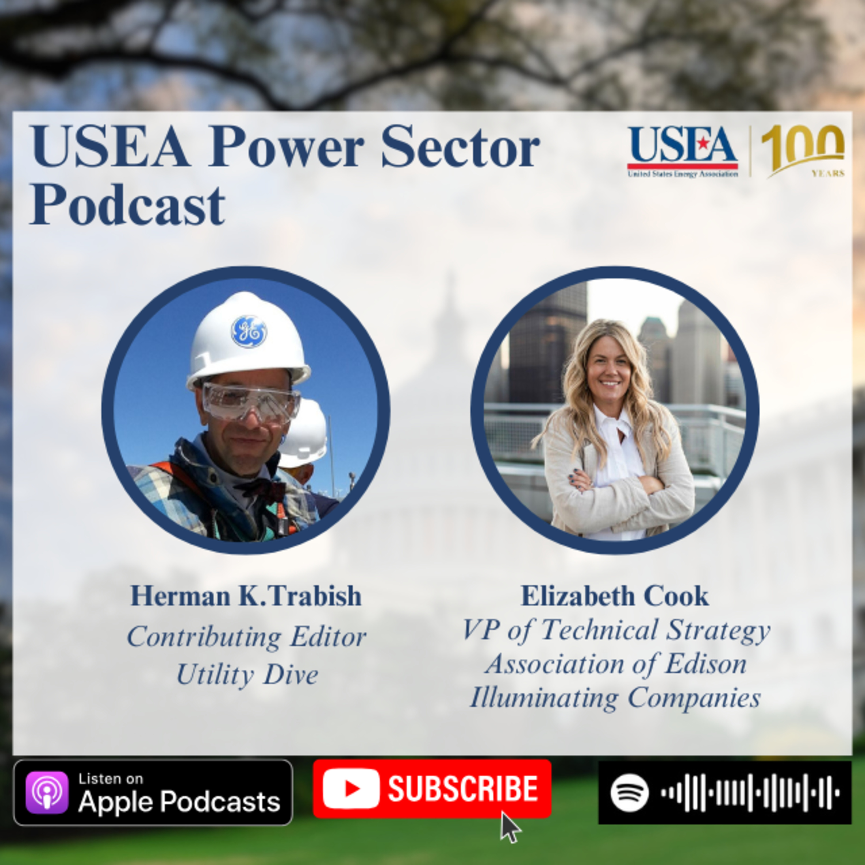 USEA Power Sector Podcast Episode 112: Association of Edison Illuminating Companies VP of Technical Strategy Elizabeth Cook episode artwork