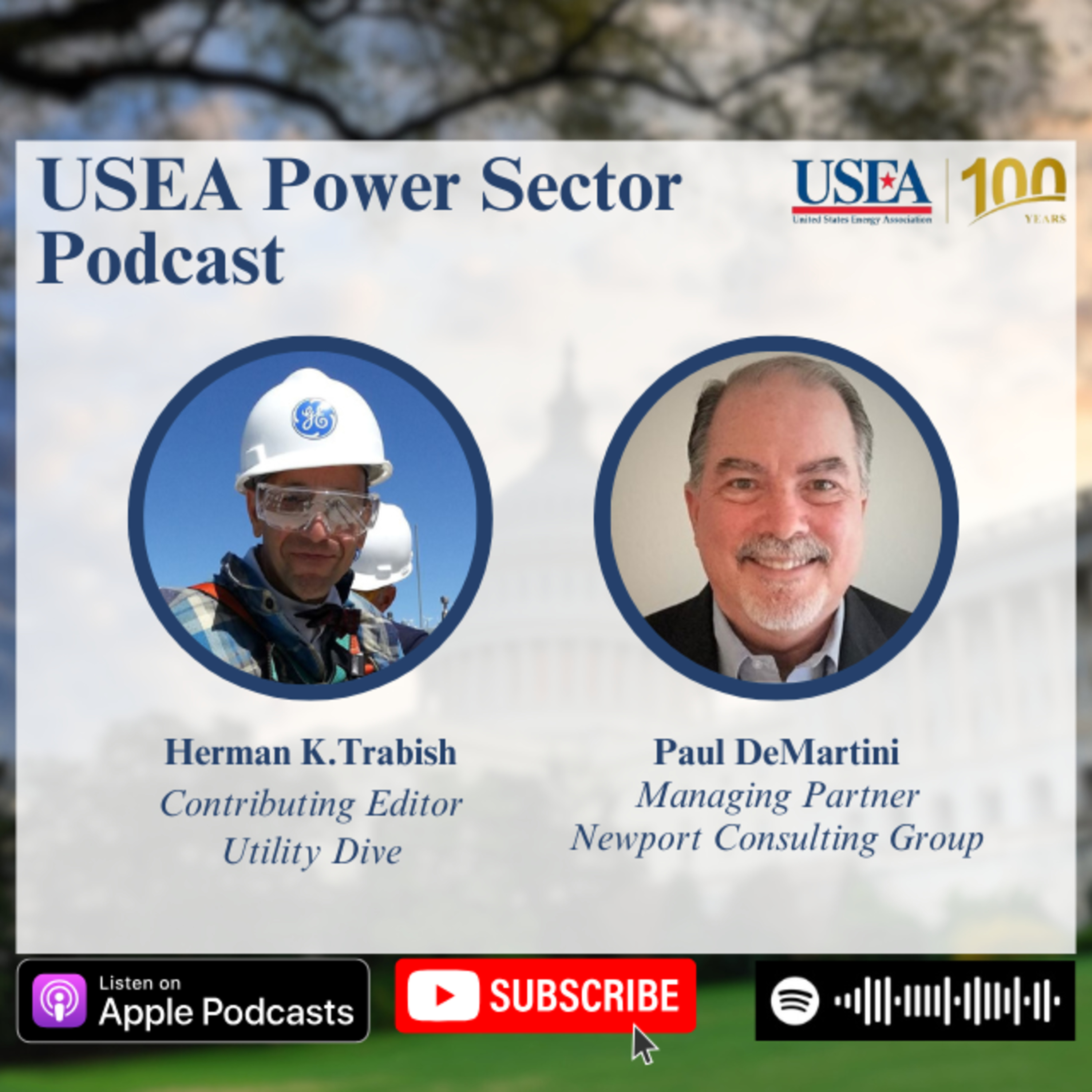 USEA Power Sector Podcast Episode 113: Newport Consulting Group Managing Partner Paul DeMartini episode artwork