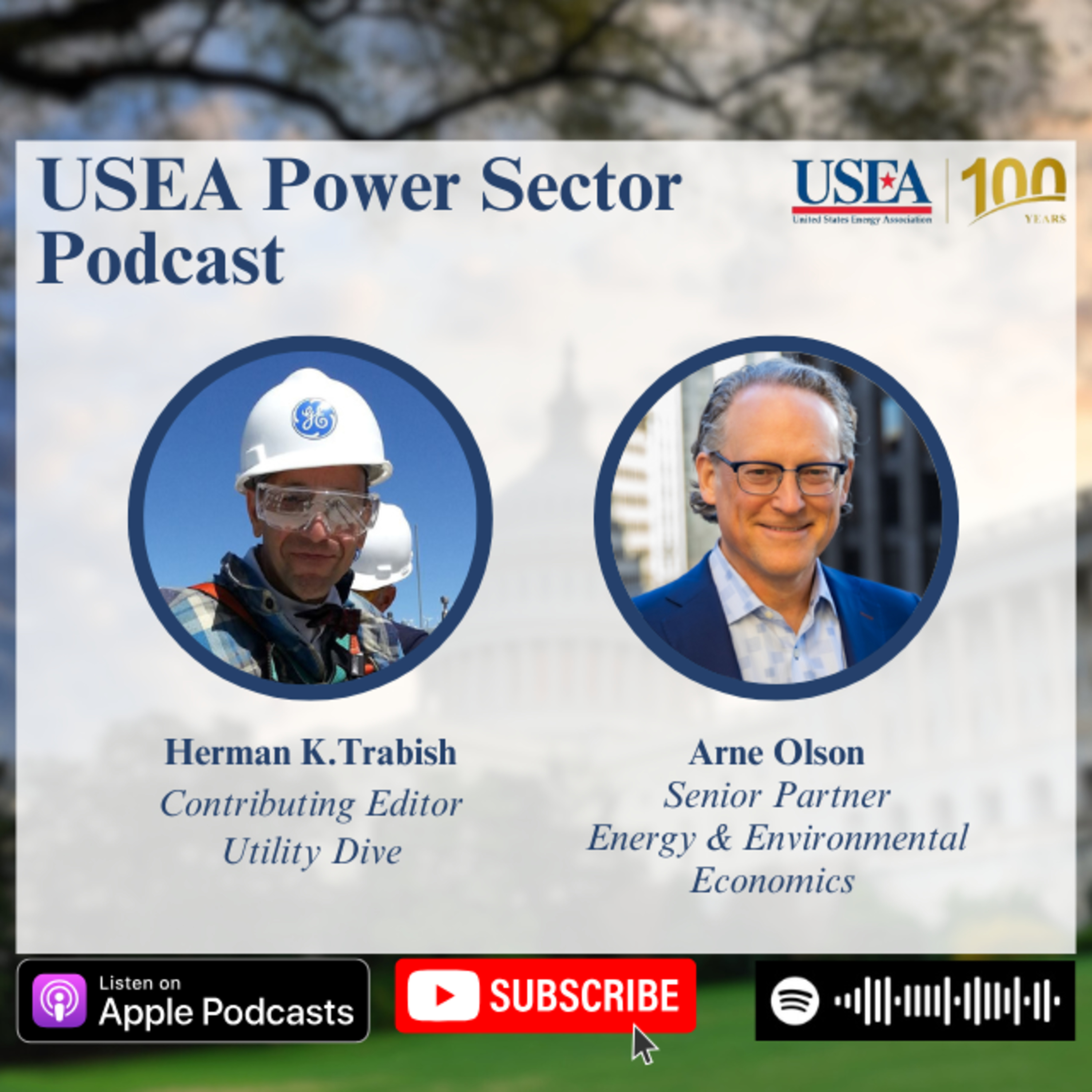 USEA Power Sector Podcast Episode 124: Energy & Environmental Economics Senior Partner Arne Olson  episode artwork