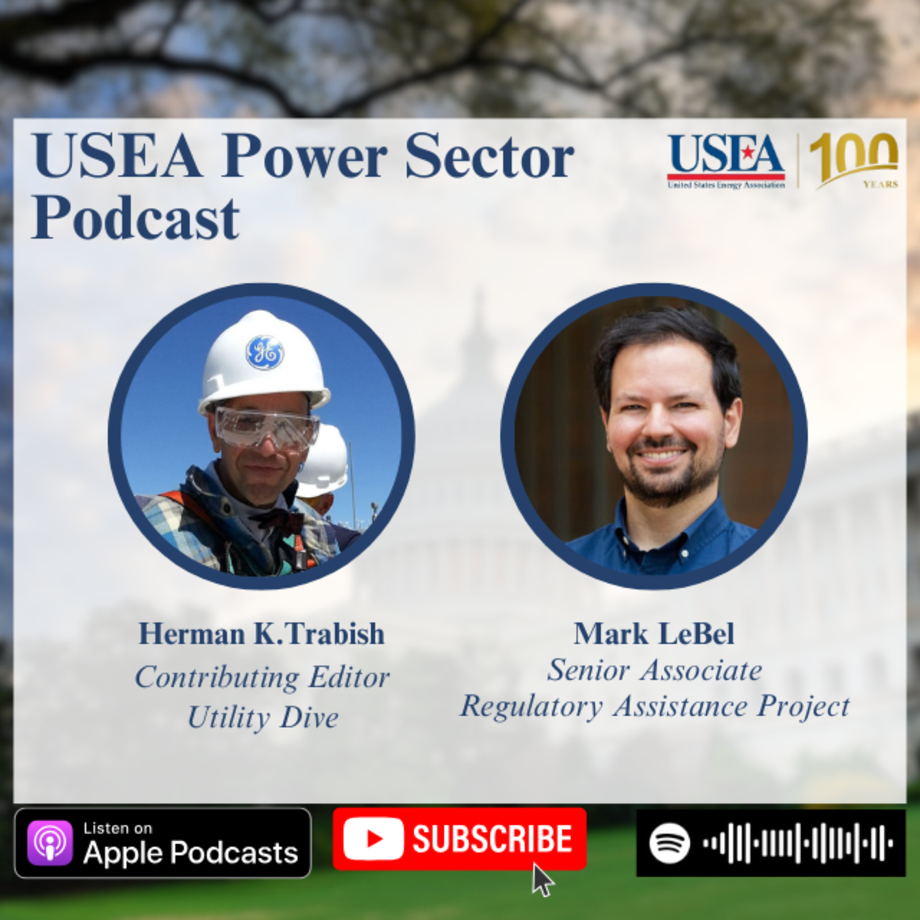 USEA Power Sector Podcast Episode 125: Regulatory Assistance Project Senior Associate Mark LeBel episode artwork