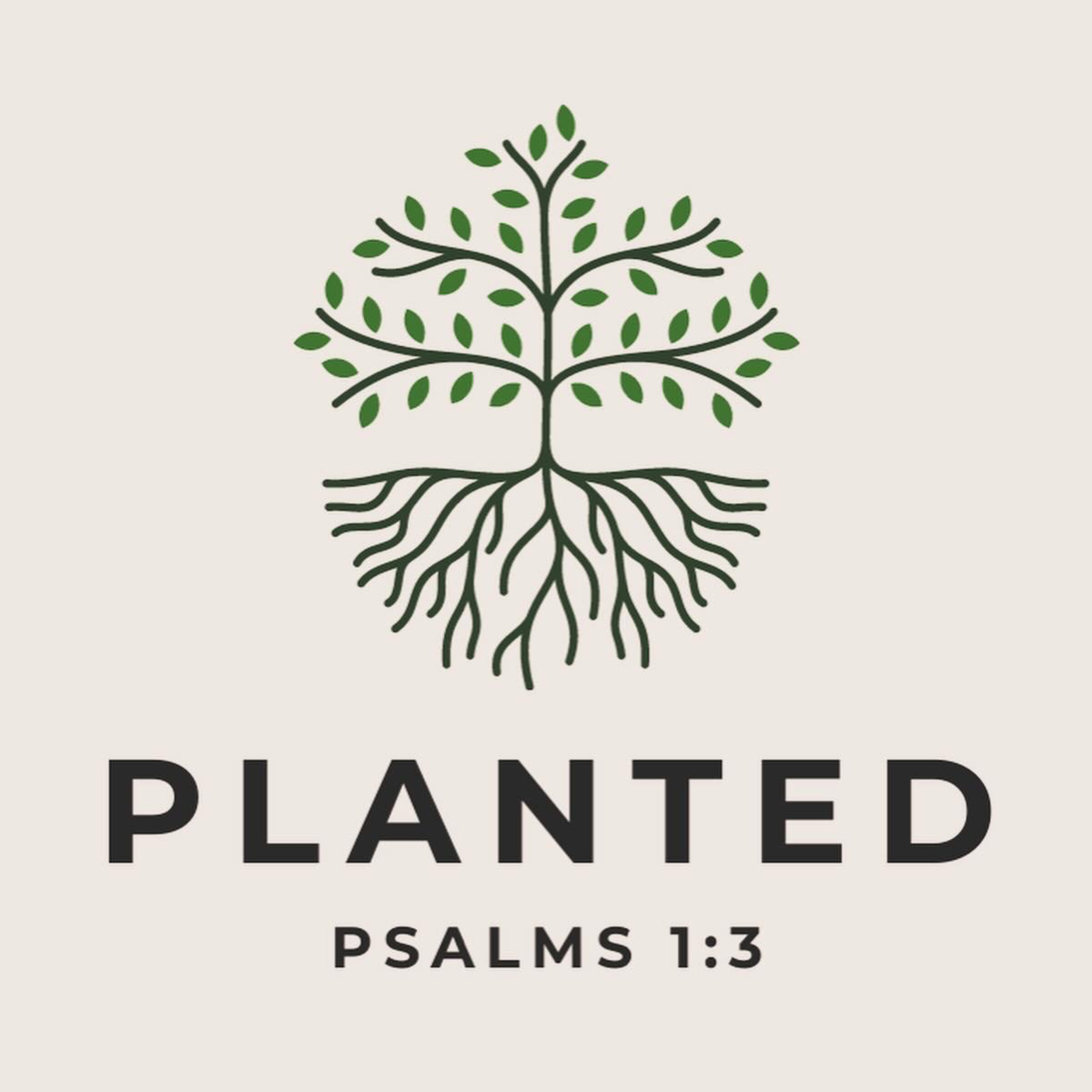 Planted - The Rocky Ground episode artwork