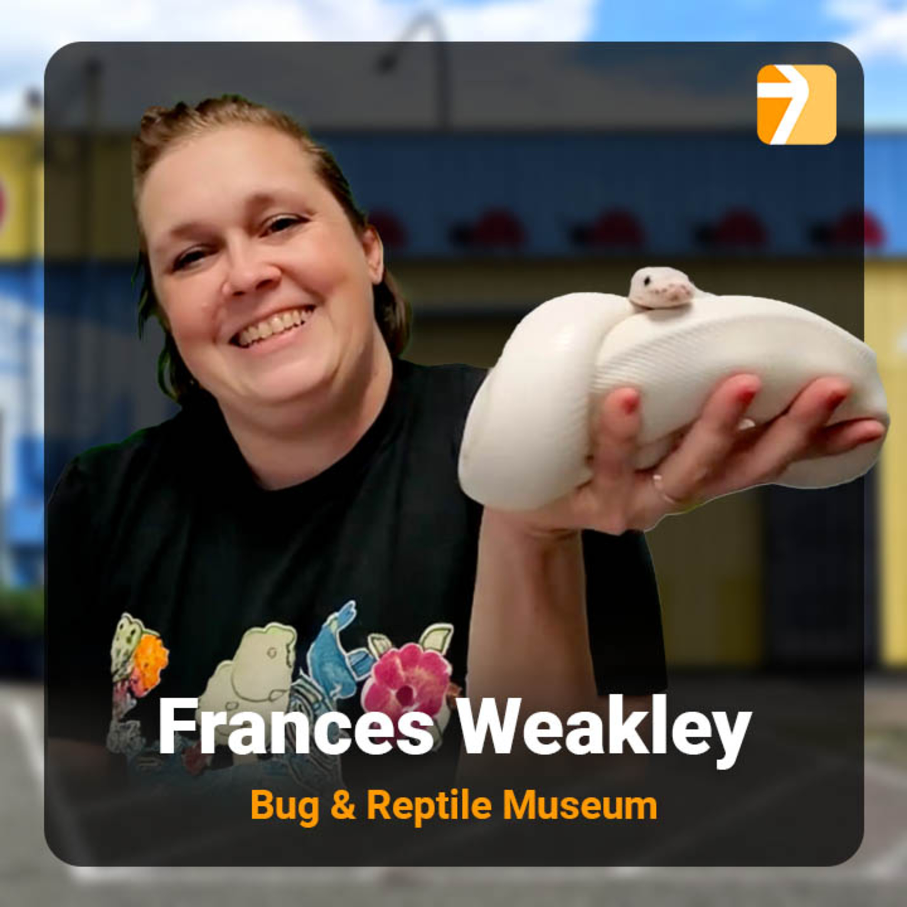 Snakes, Hissing Cockroaches, and Fearless Kids – Frances Weakley, Bug & Reptile Museum episode artwork