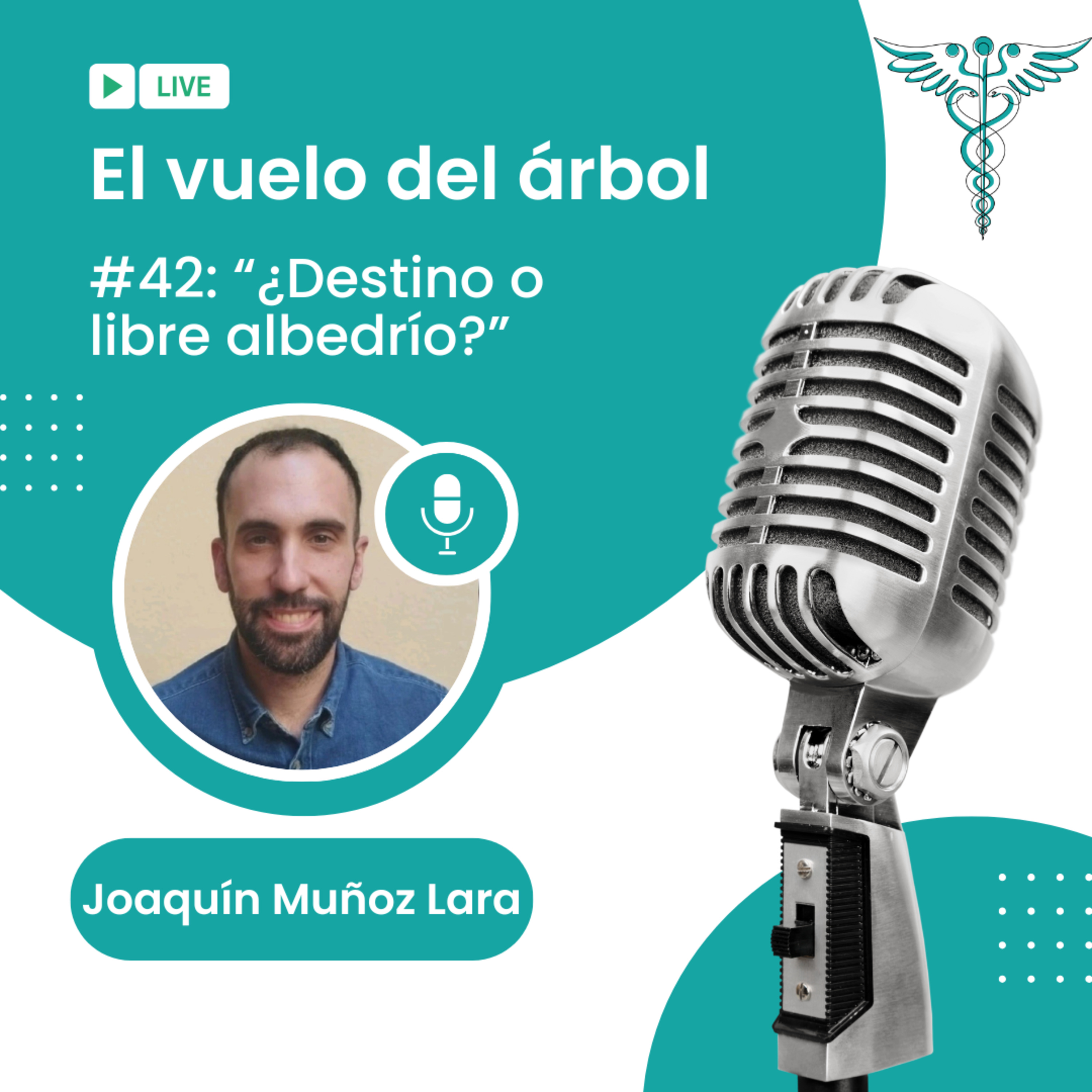 42. ¿Destino o libre albedrío? episode artwork
