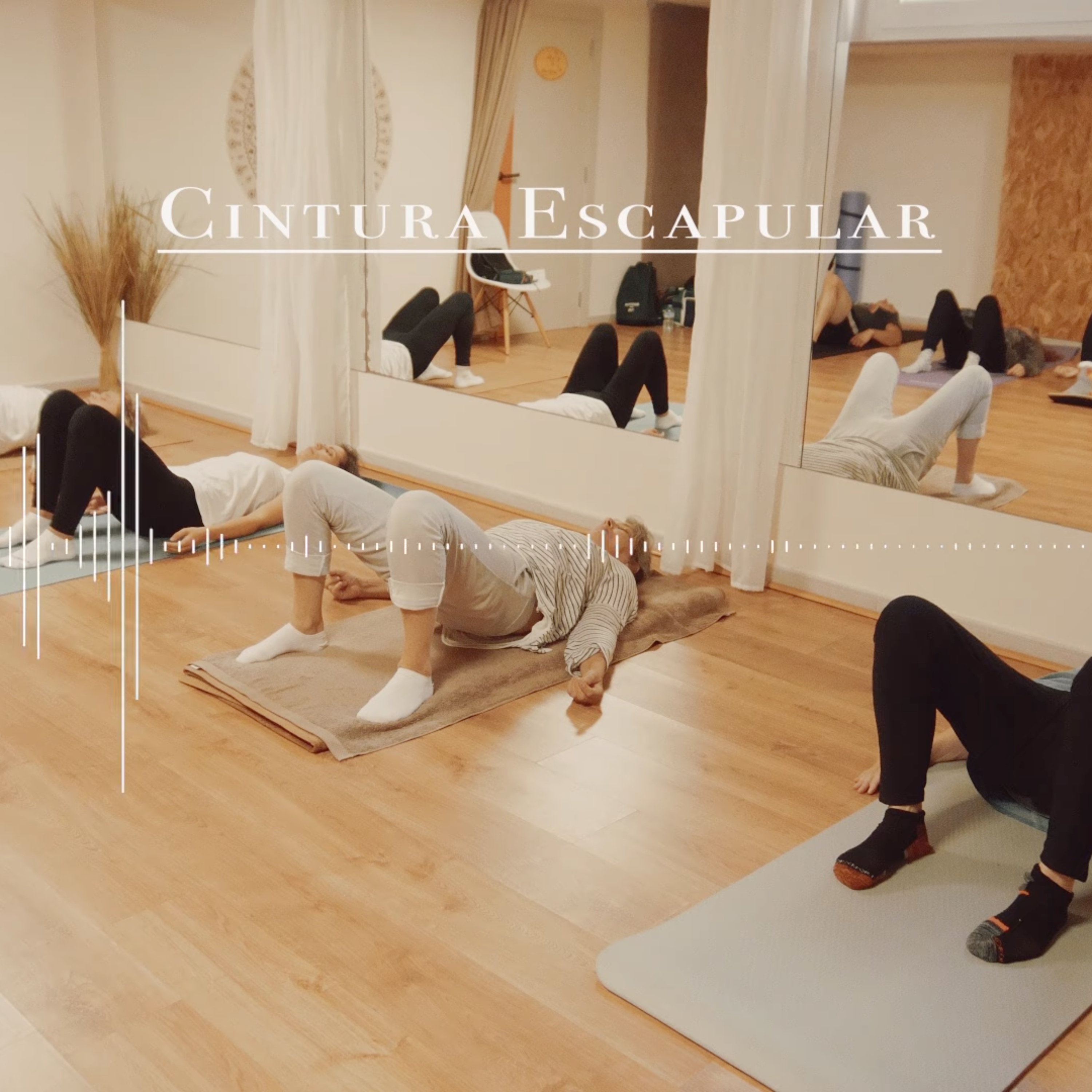 CLASES DEL MÉTODO FELDENKRAIS