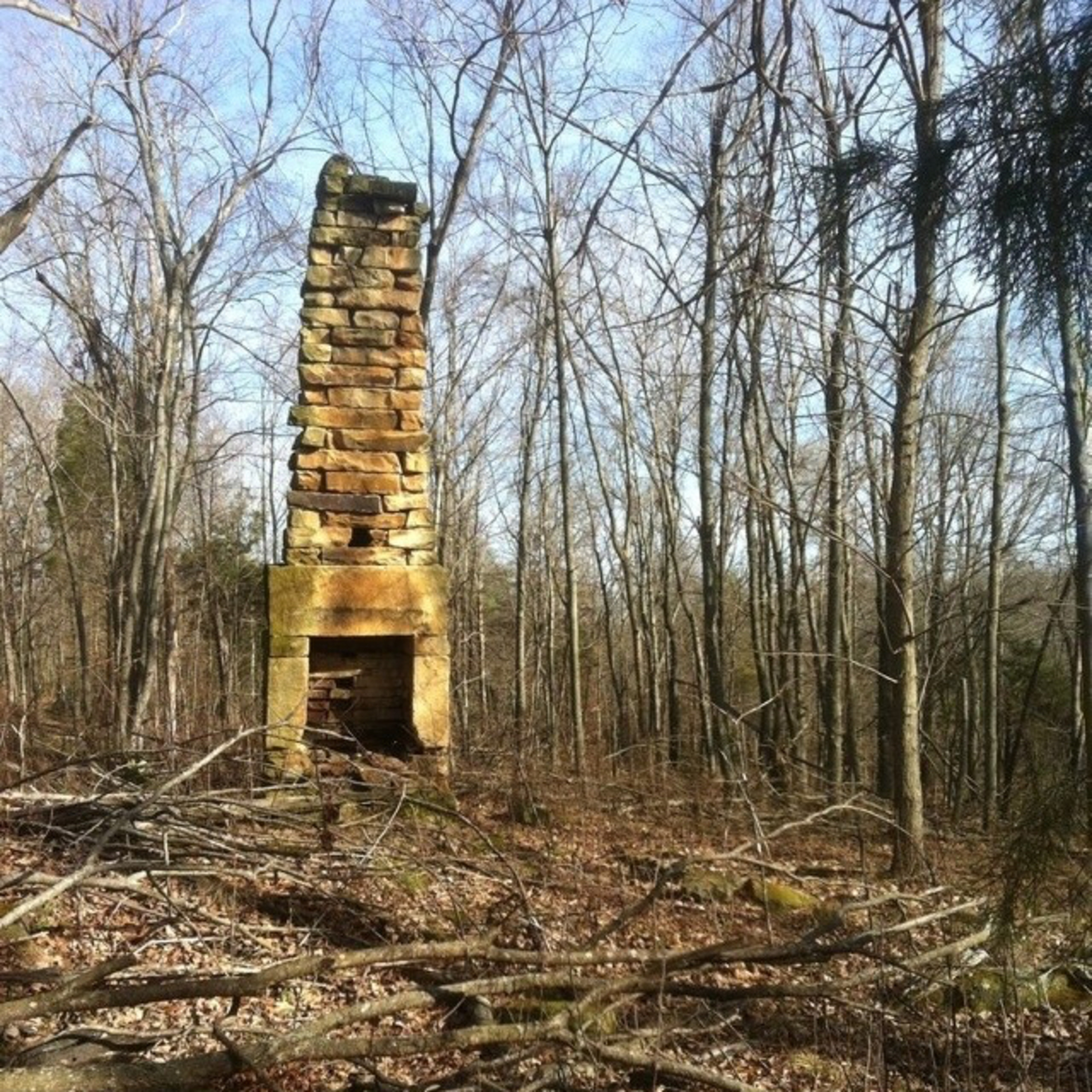 Ep 8: A Chimney in the Woods