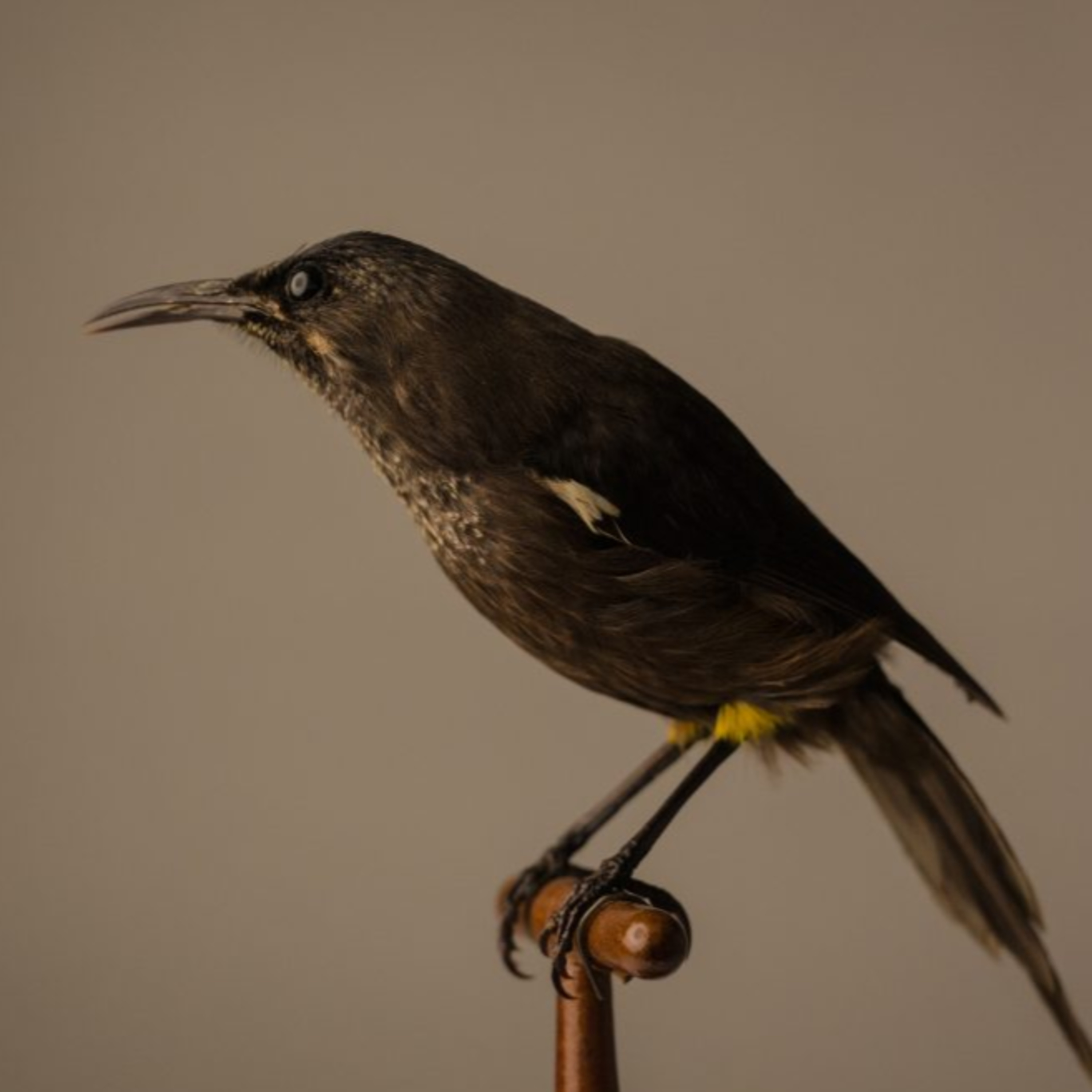 Ep 68: The Only One Left