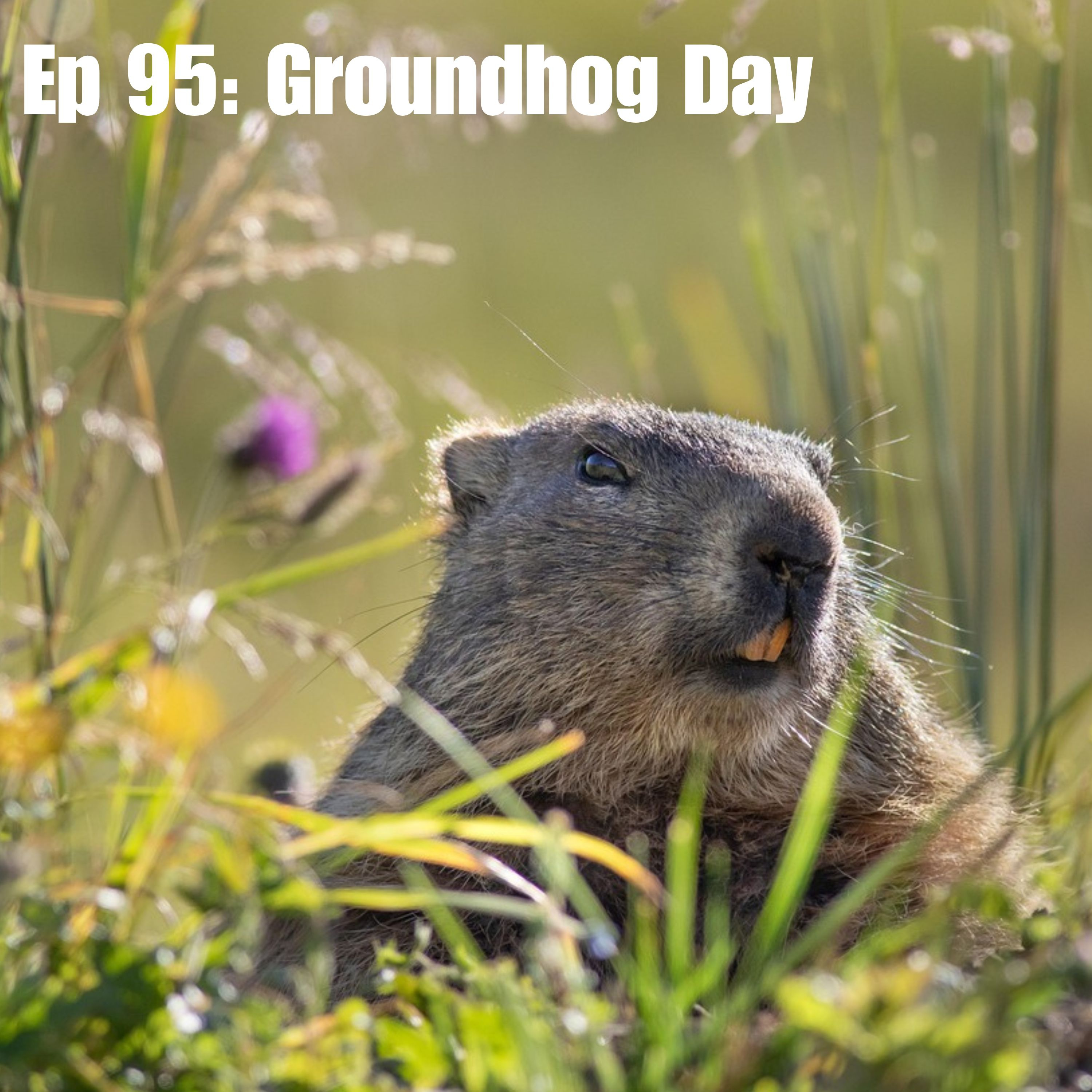 Ep 95: Groundhog Day