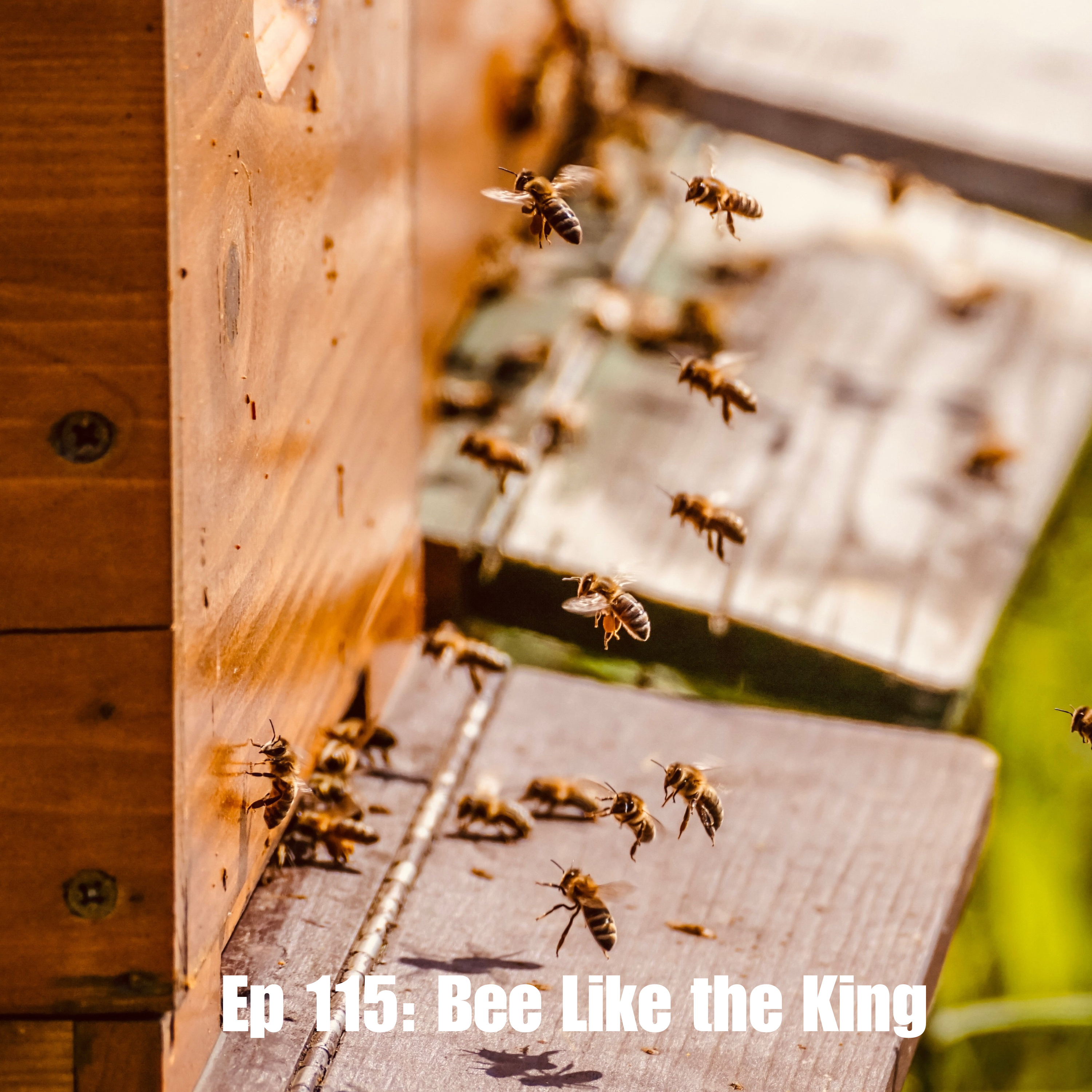 Ep 115: Bee Like the King