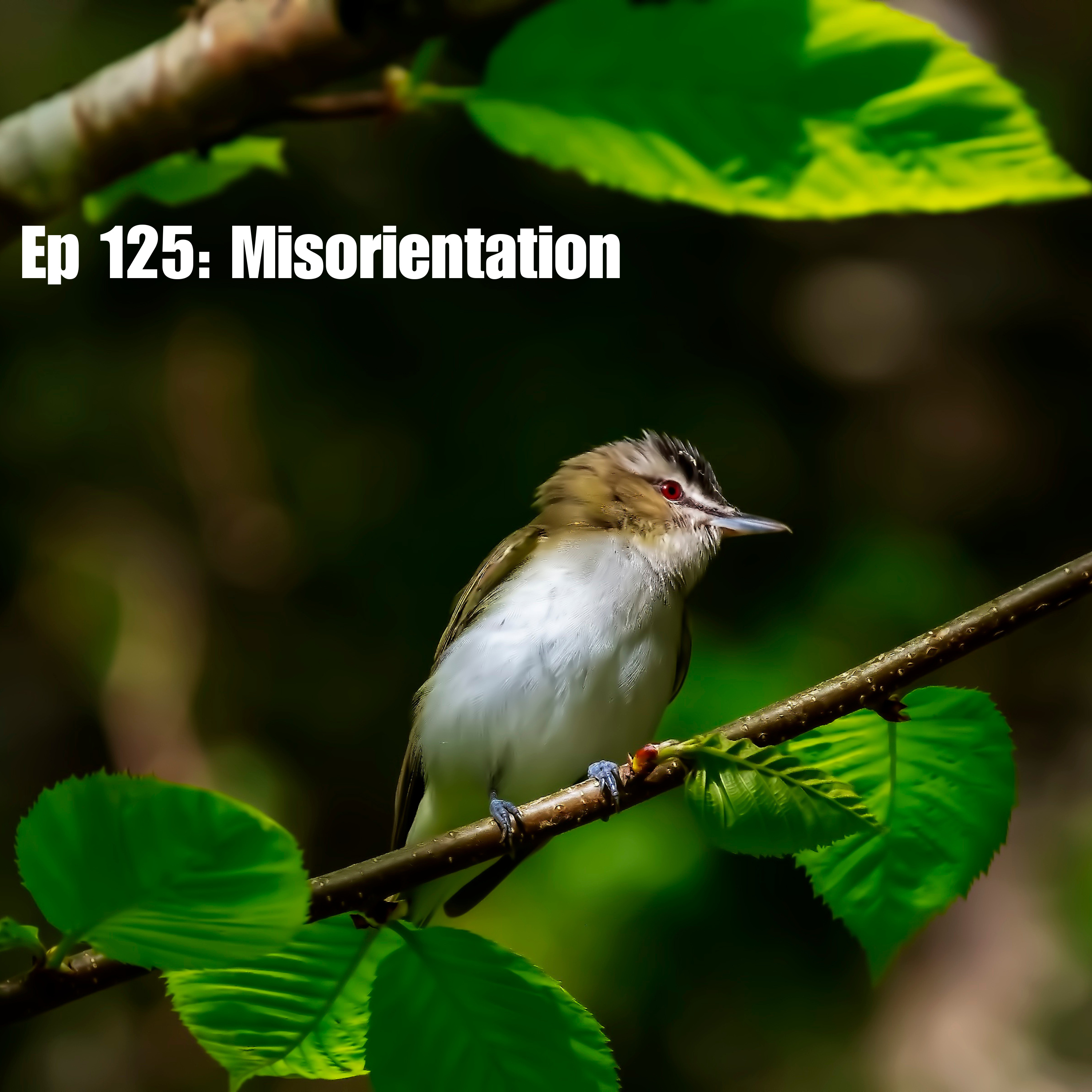 Ep 125: Misorientation