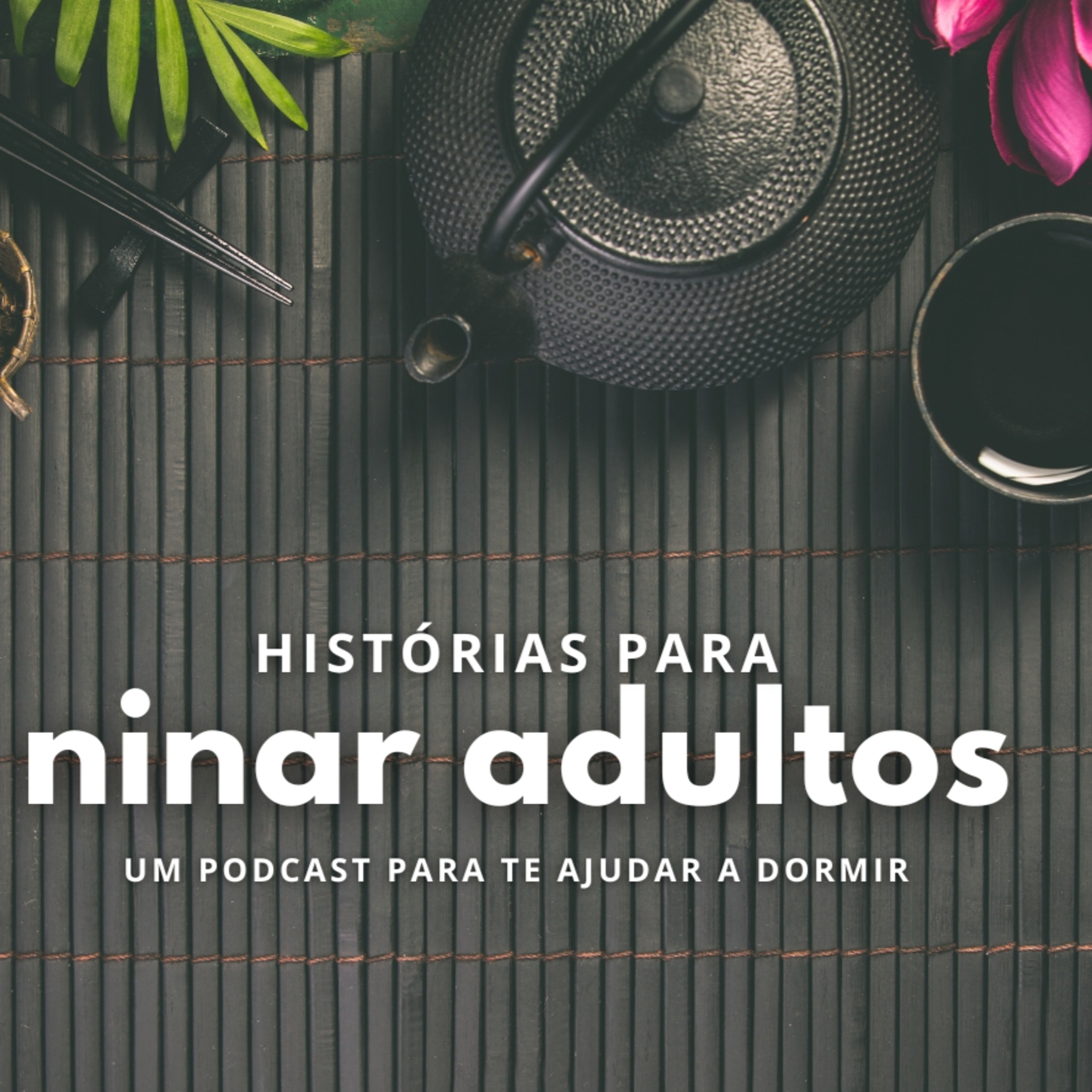 Histórias para ninar adultos