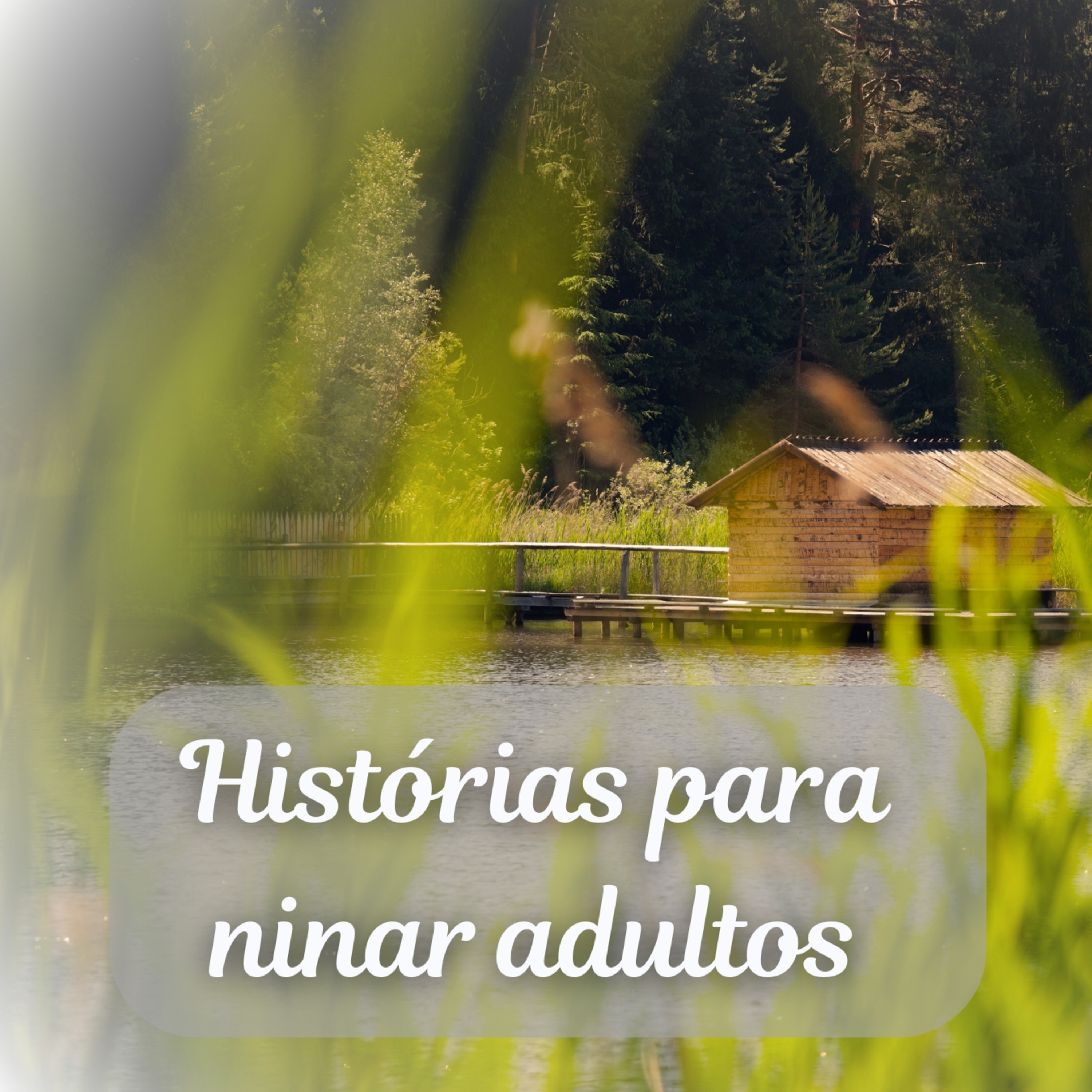 Histórias para ninar adultos