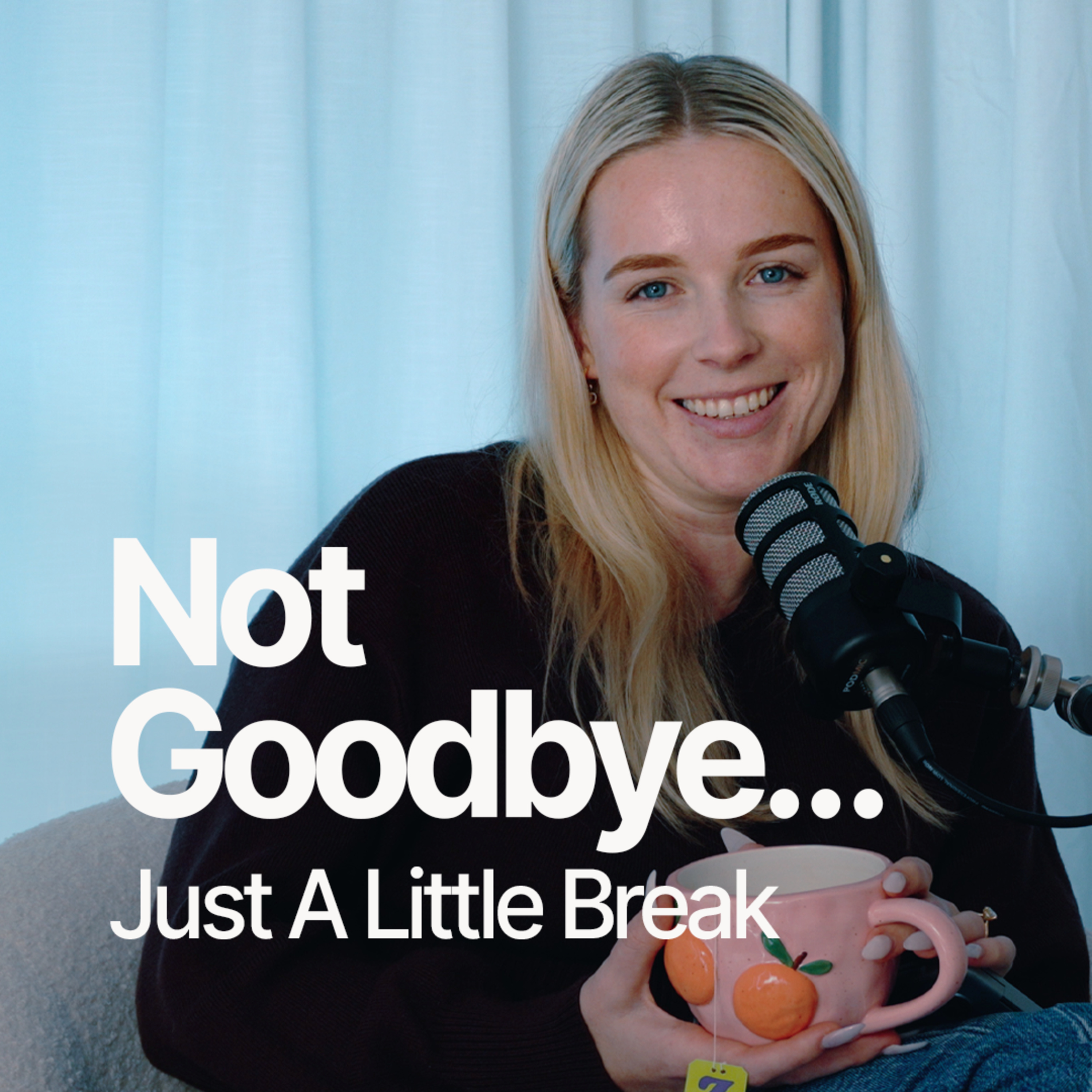 Not Goodbye… Just A Little Break episode artwork