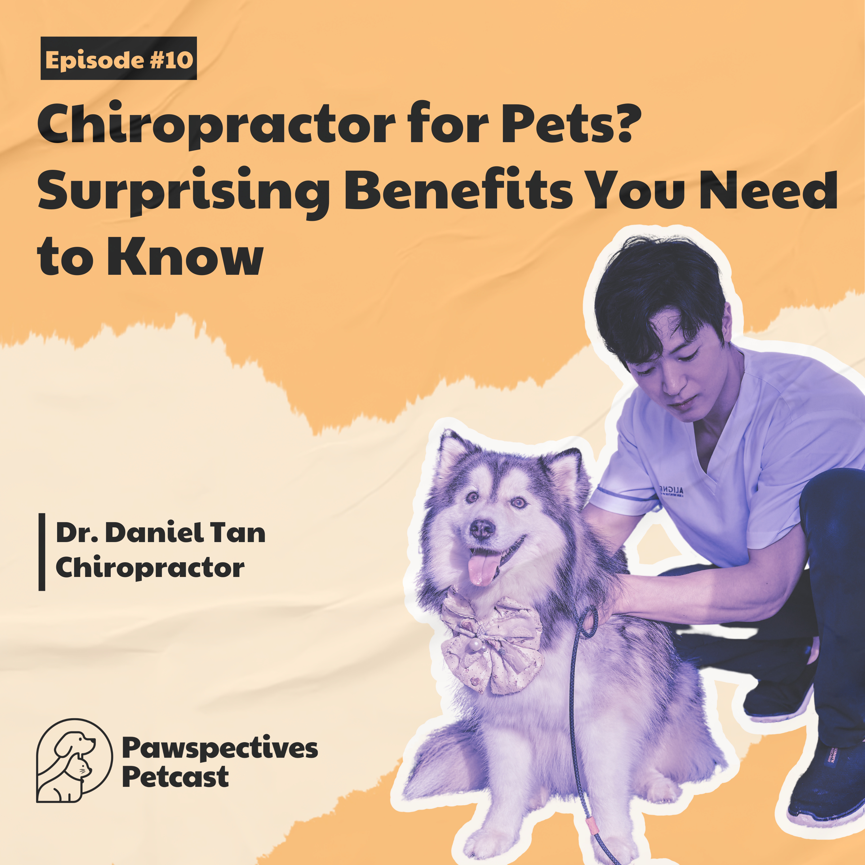 Pawspectives Petcast