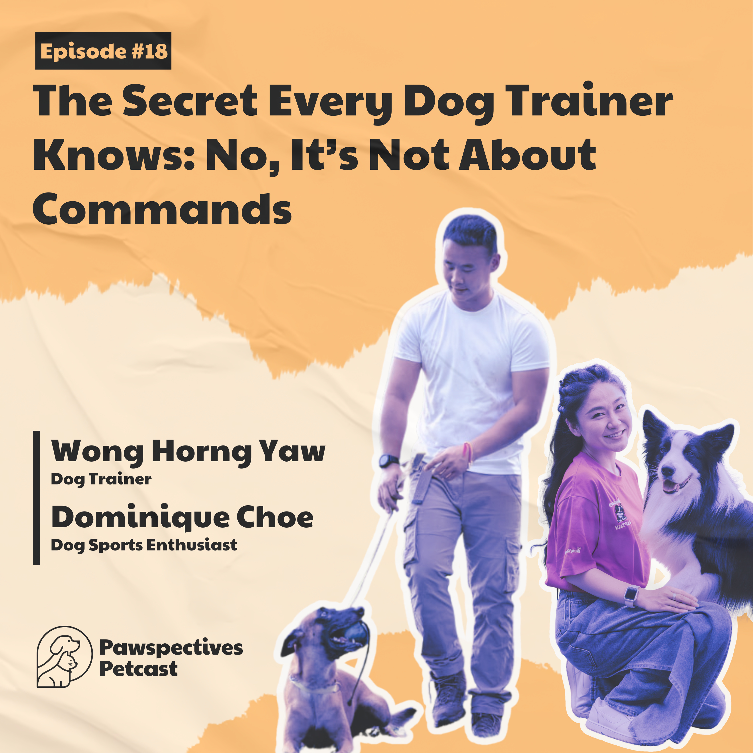 Pawspectives Petcast