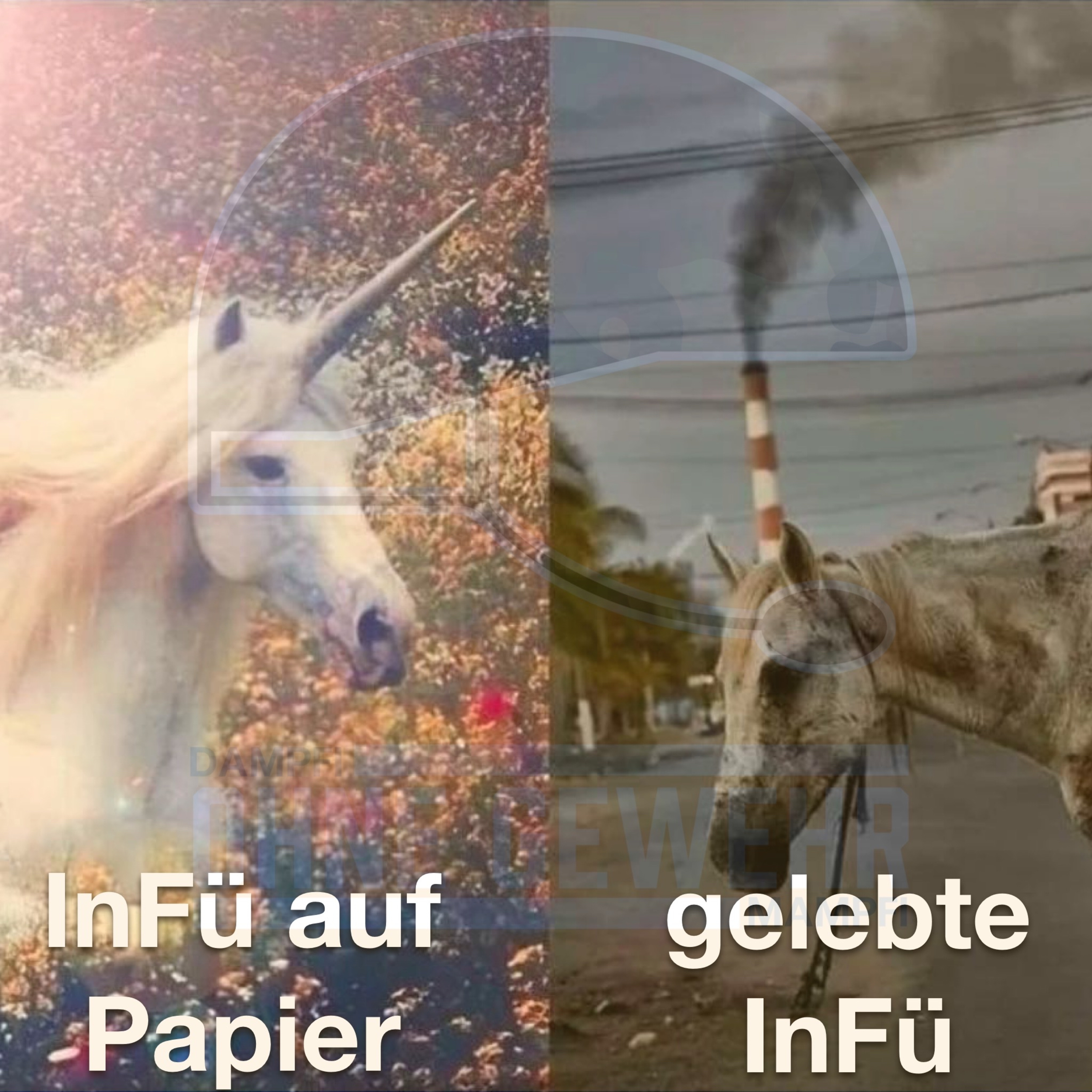 Ohne Gewehr: Der BundiTalk mit Dampfi und Mampfi