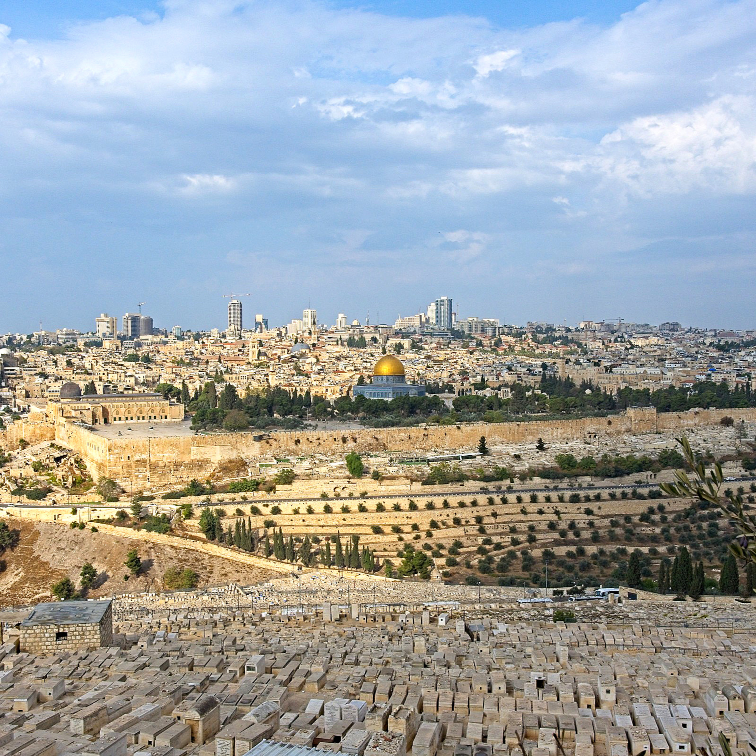 Lost in Translation: The LORD is Not Jesus Returning on the Mt of Olives!  episode artwork