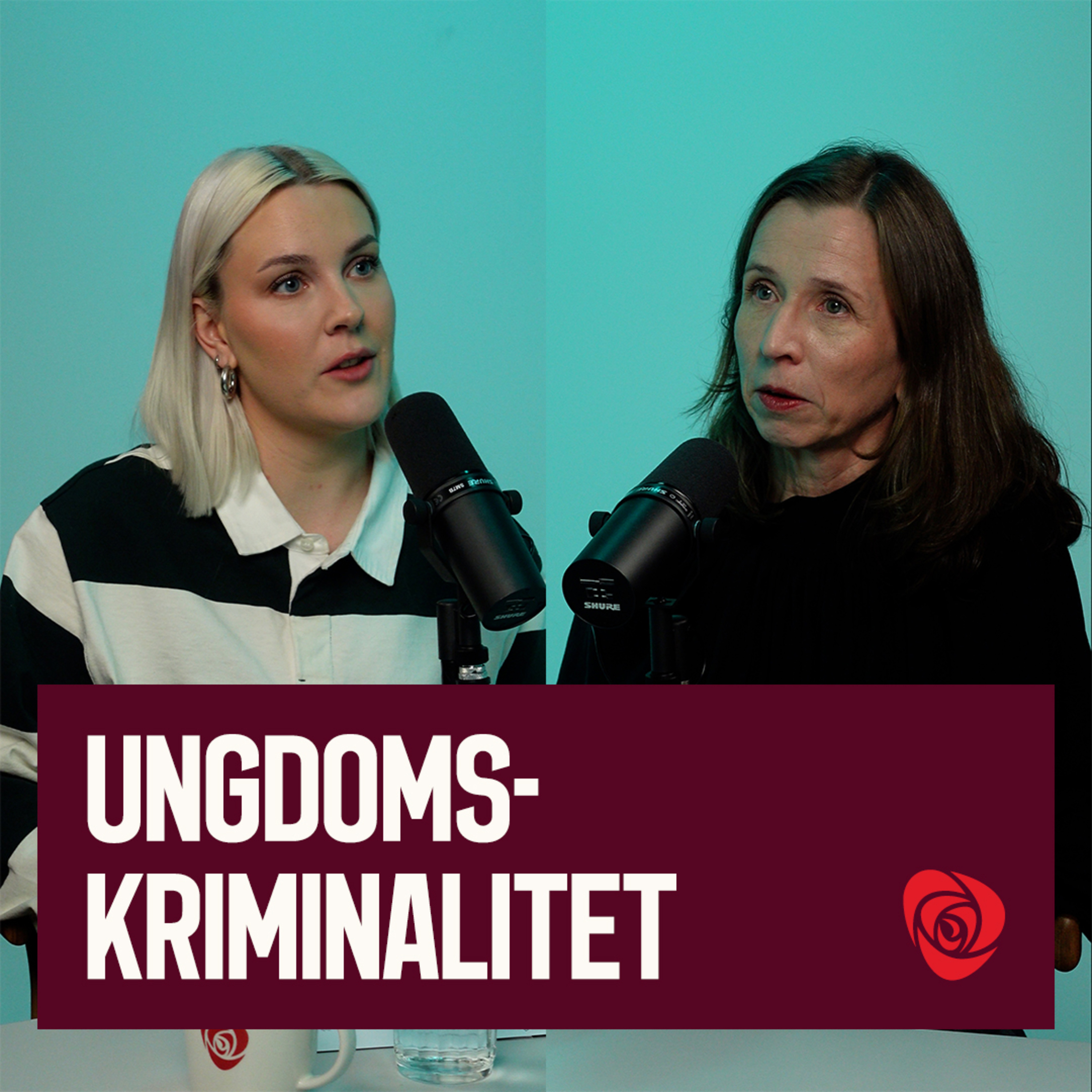 Ungdomskriminalitet | Justisminister Astri Aas-Hansen