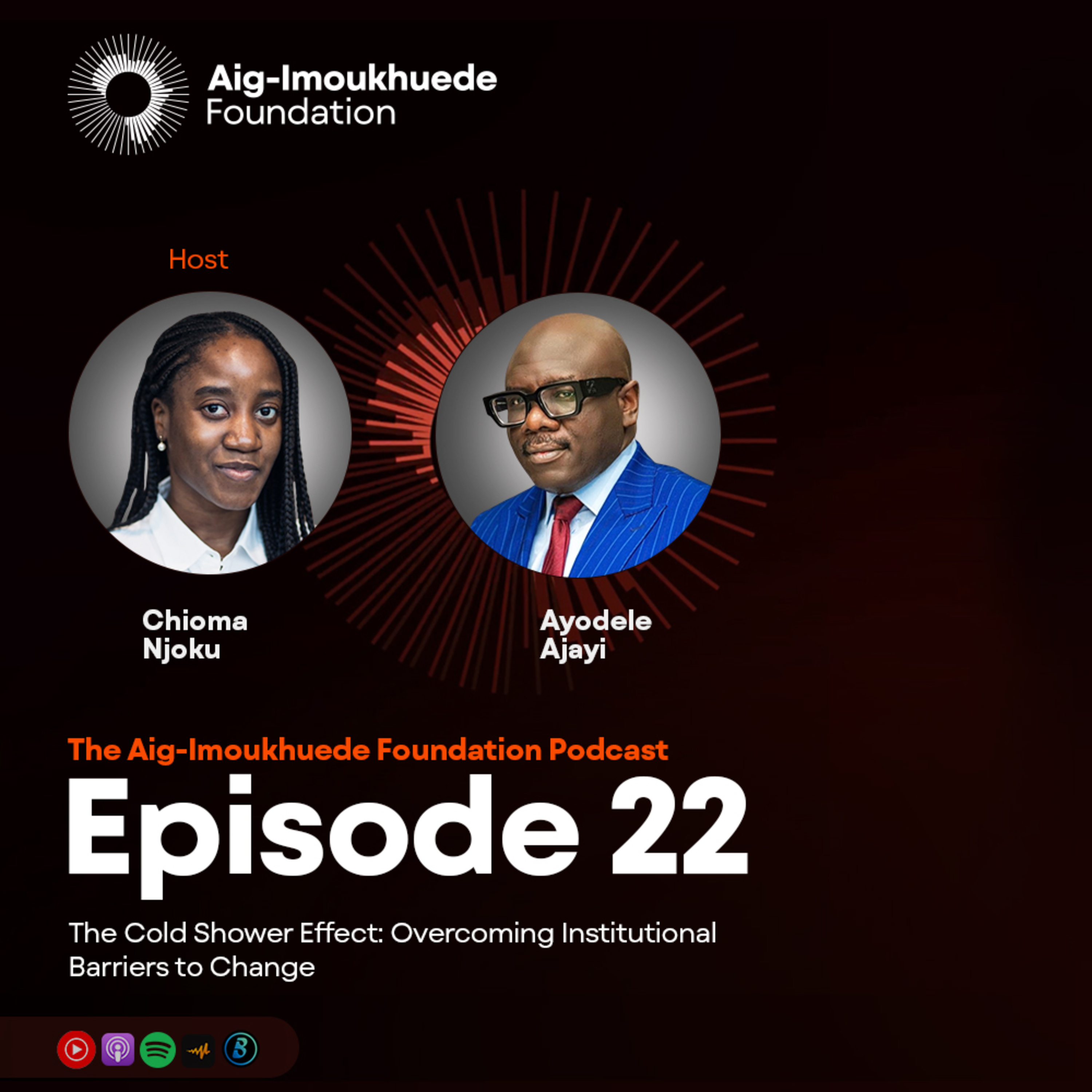 The 'Cold Shower' Effect: Overcoming Institutional Barriers to Change episode artwork