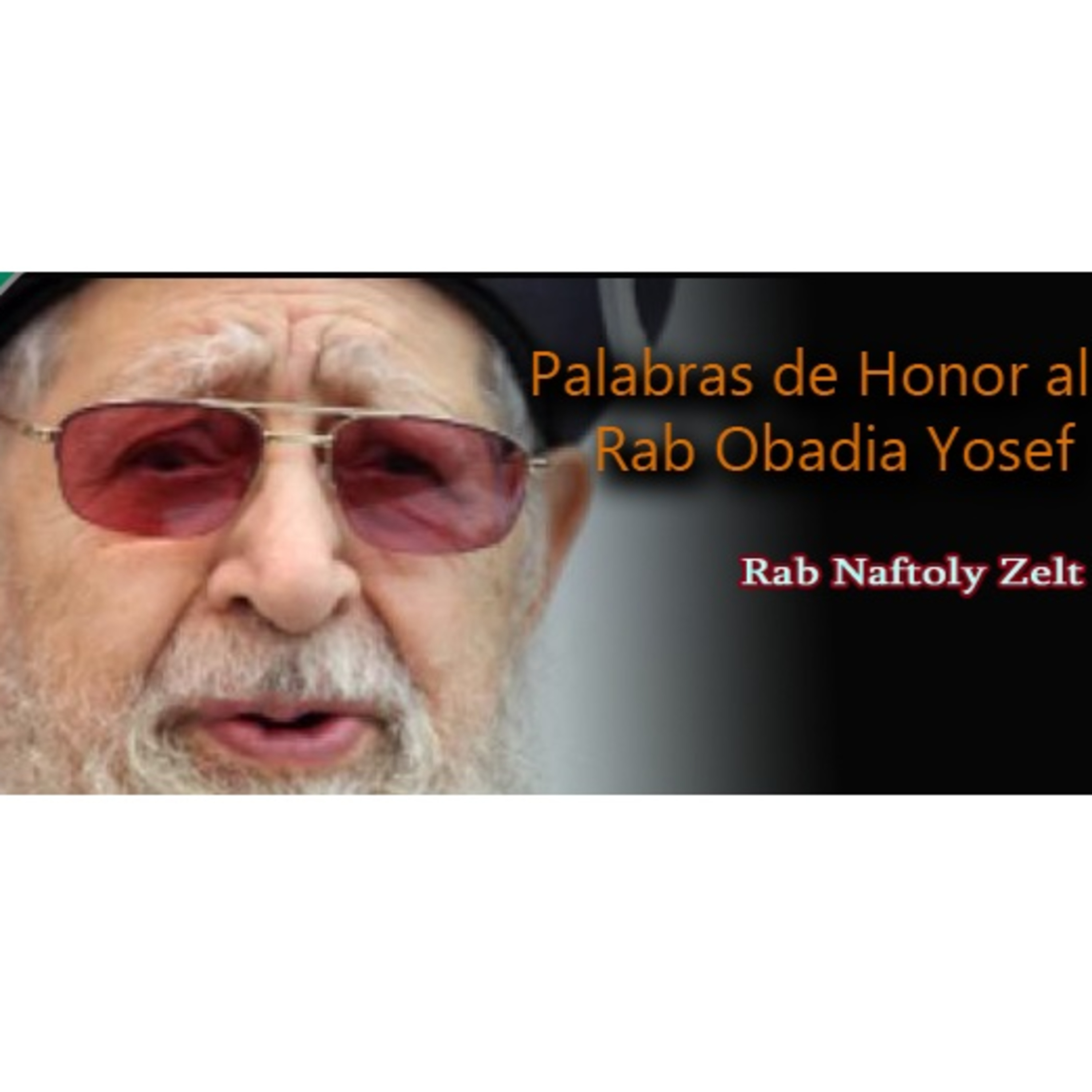 Portada de Shiurim Variados de Torá en Español