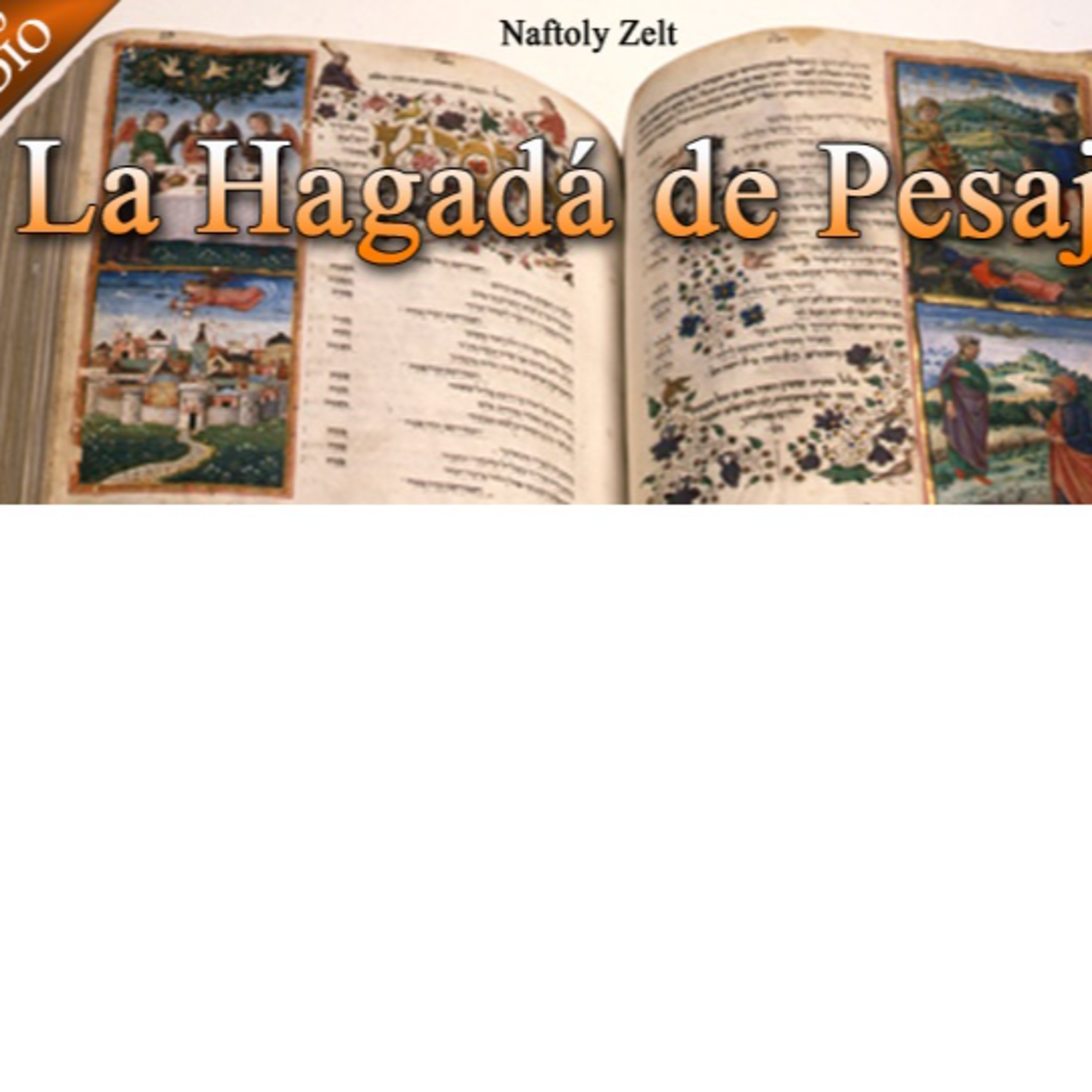 Portada de Shiurim Variados de Torá en Español