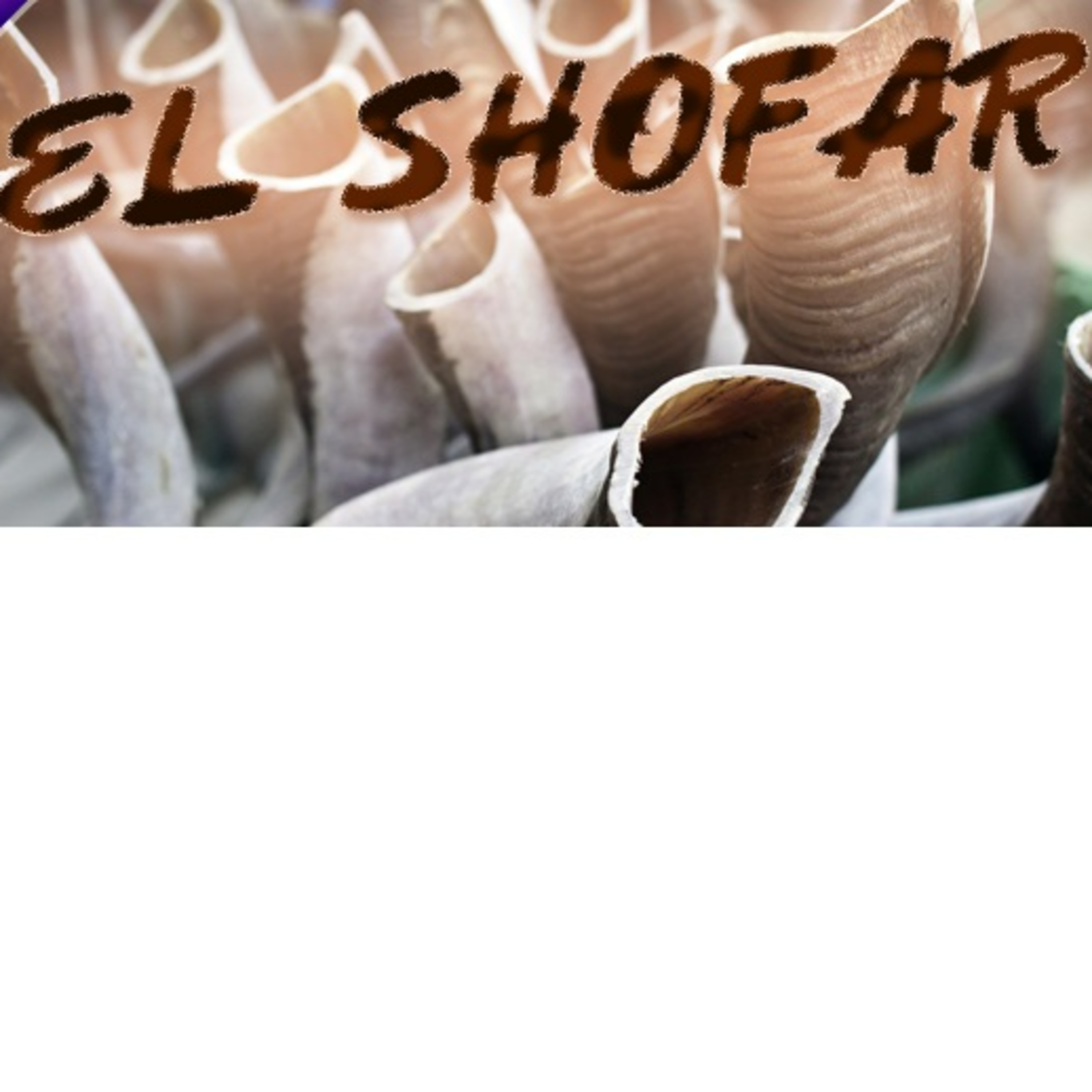 Portada de Shiurim Variados de Torá en Español