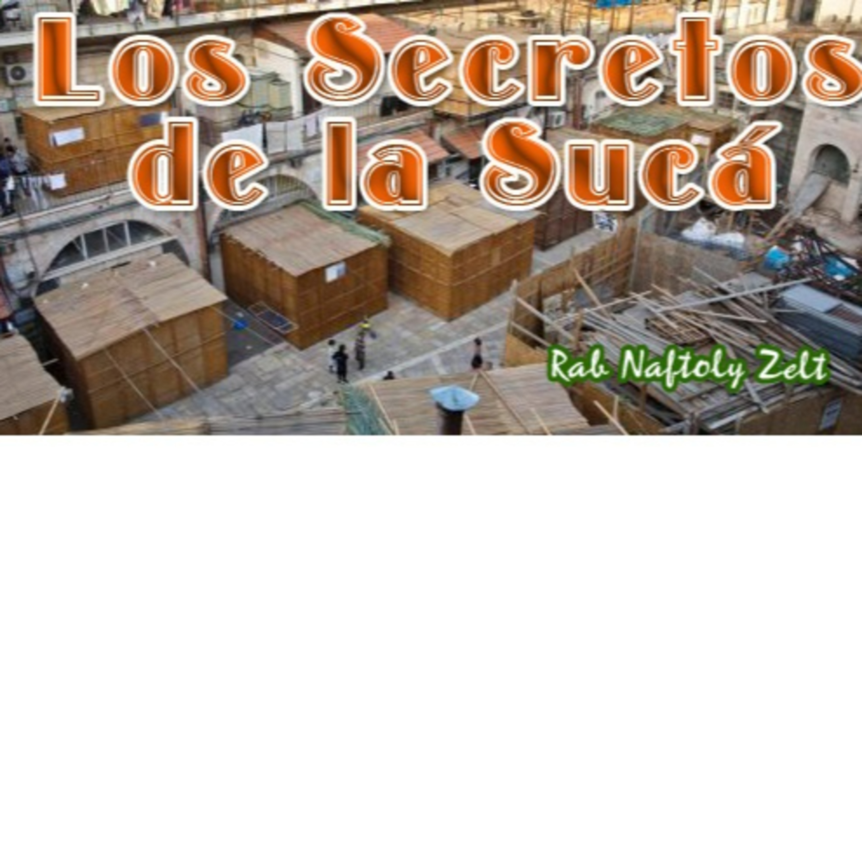 Portada de Shiurim Variados de Torá en Español