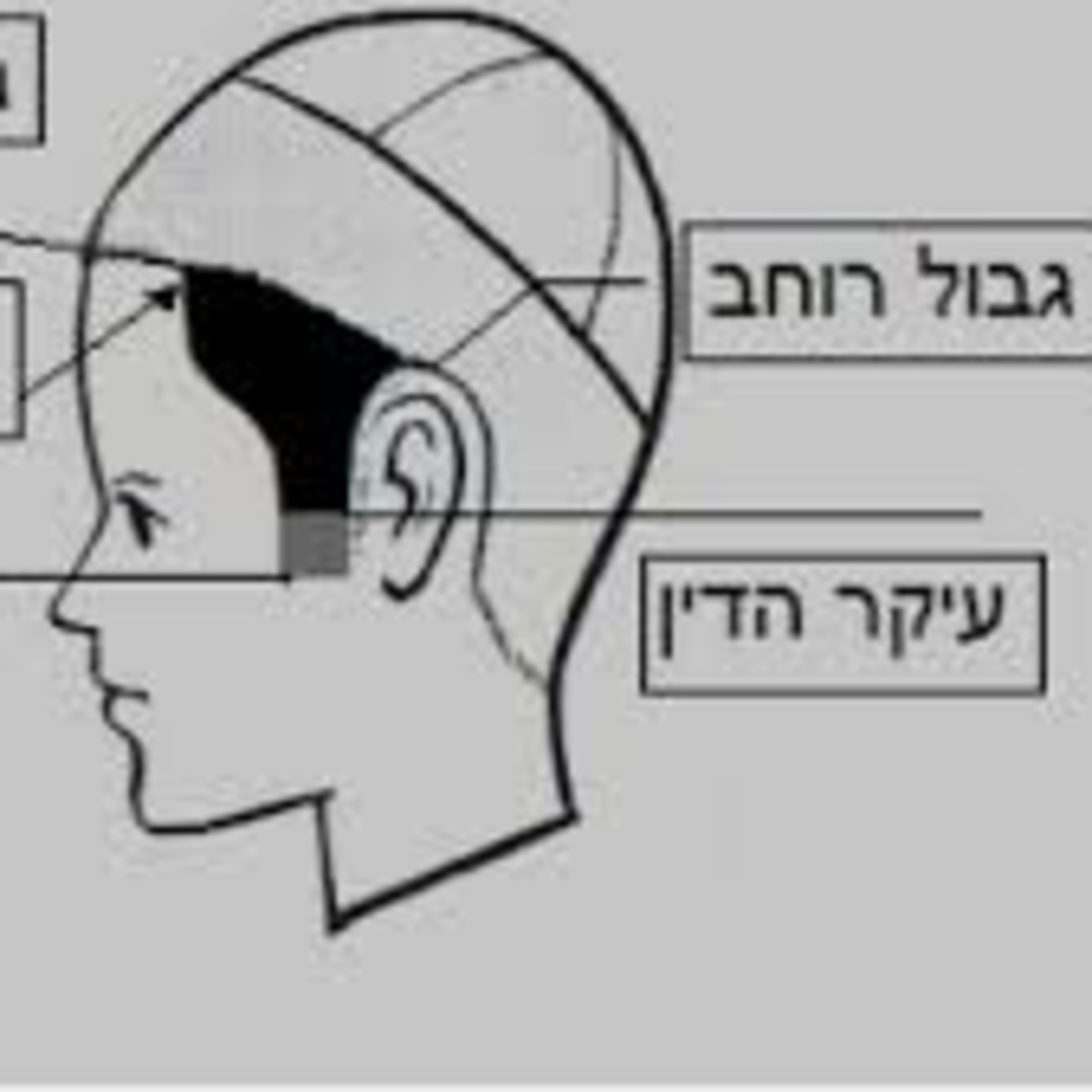 Portada de Shiurim Variados de Torá en Español