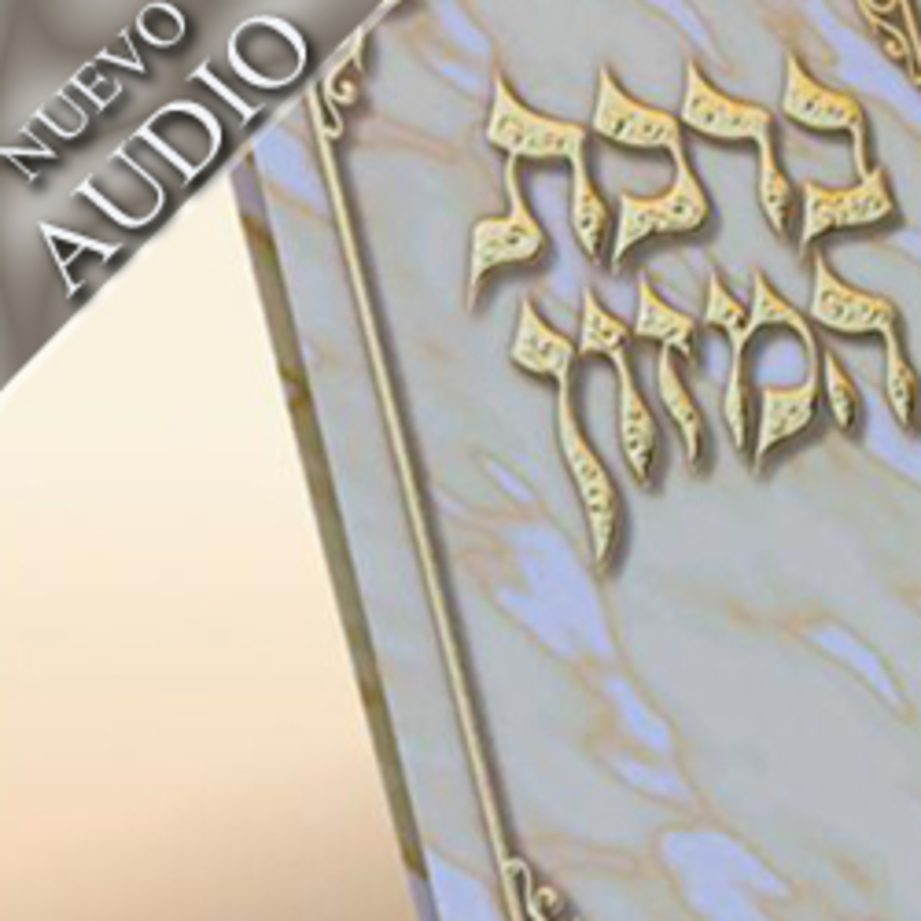 Portada de Shiurim Variados de Torá en Español