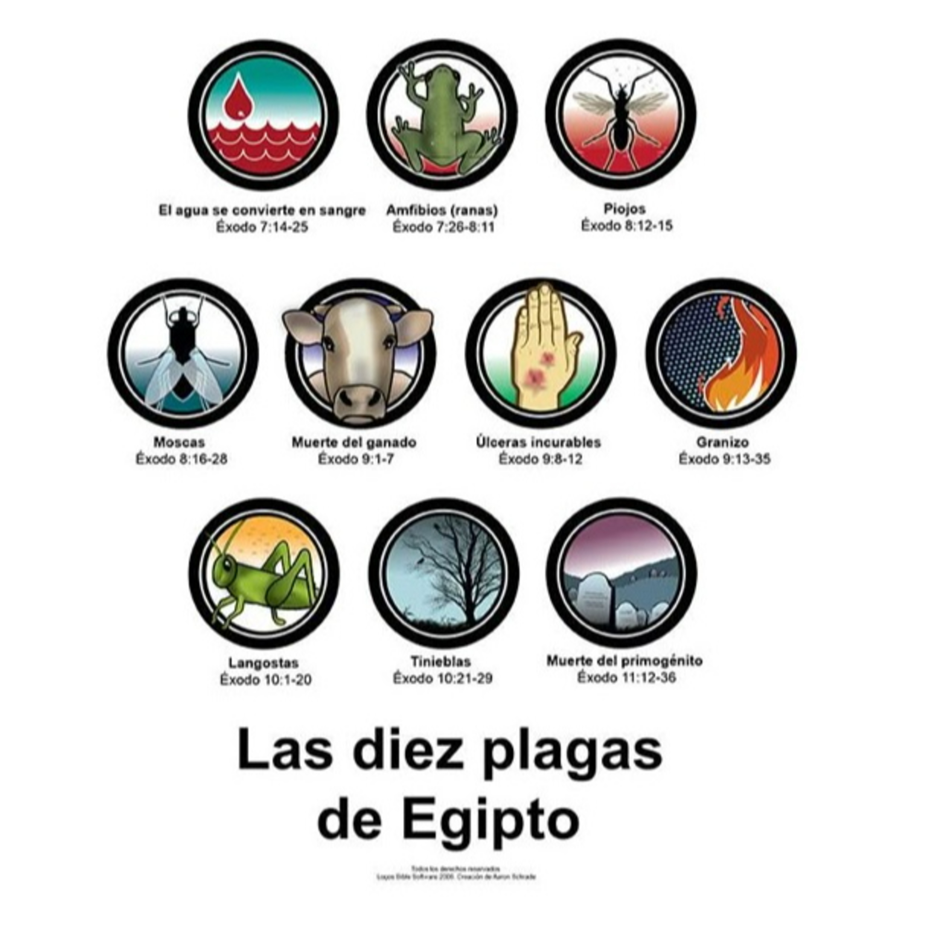 Las Diez Plagas - Parte 2 episode artwork