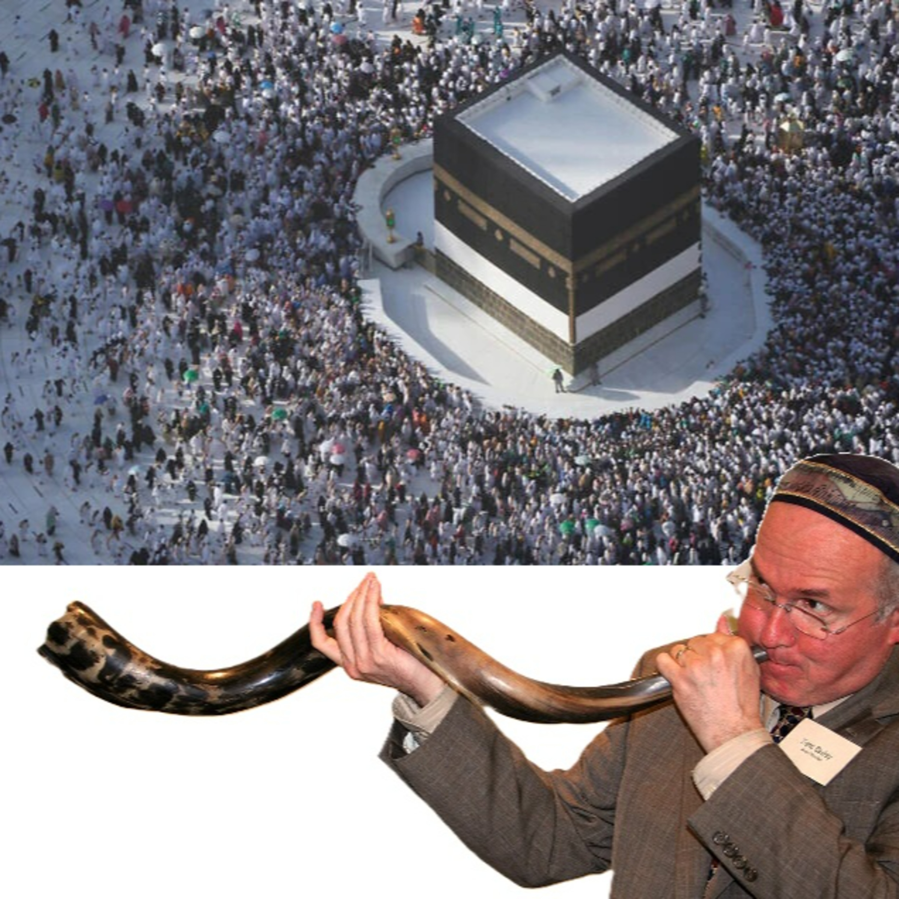 Portada de Shiurim Variados de Torá en Español