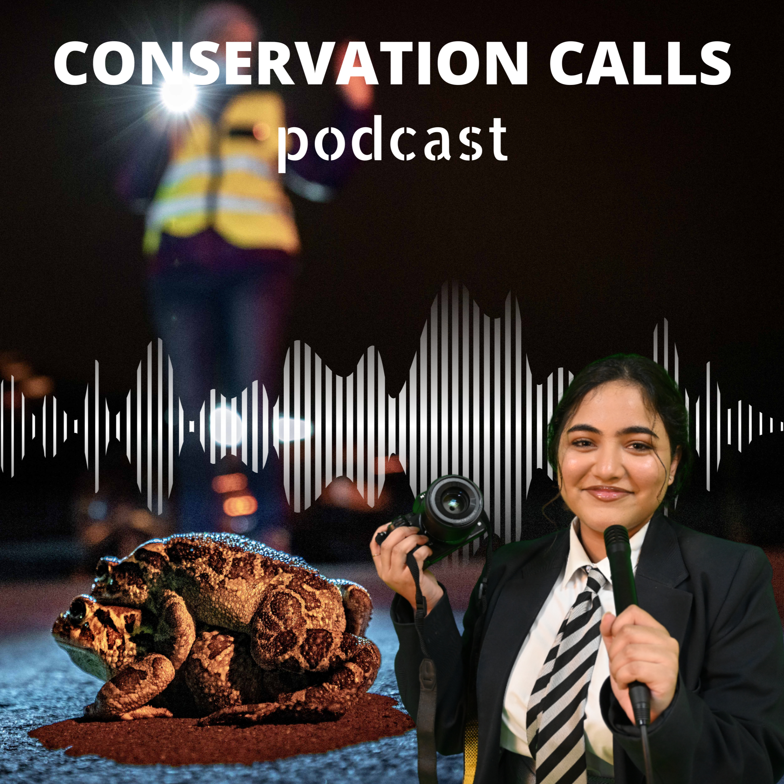 Toad Warriors: The Fight for South Africa's Amphibian Future! episode artwork