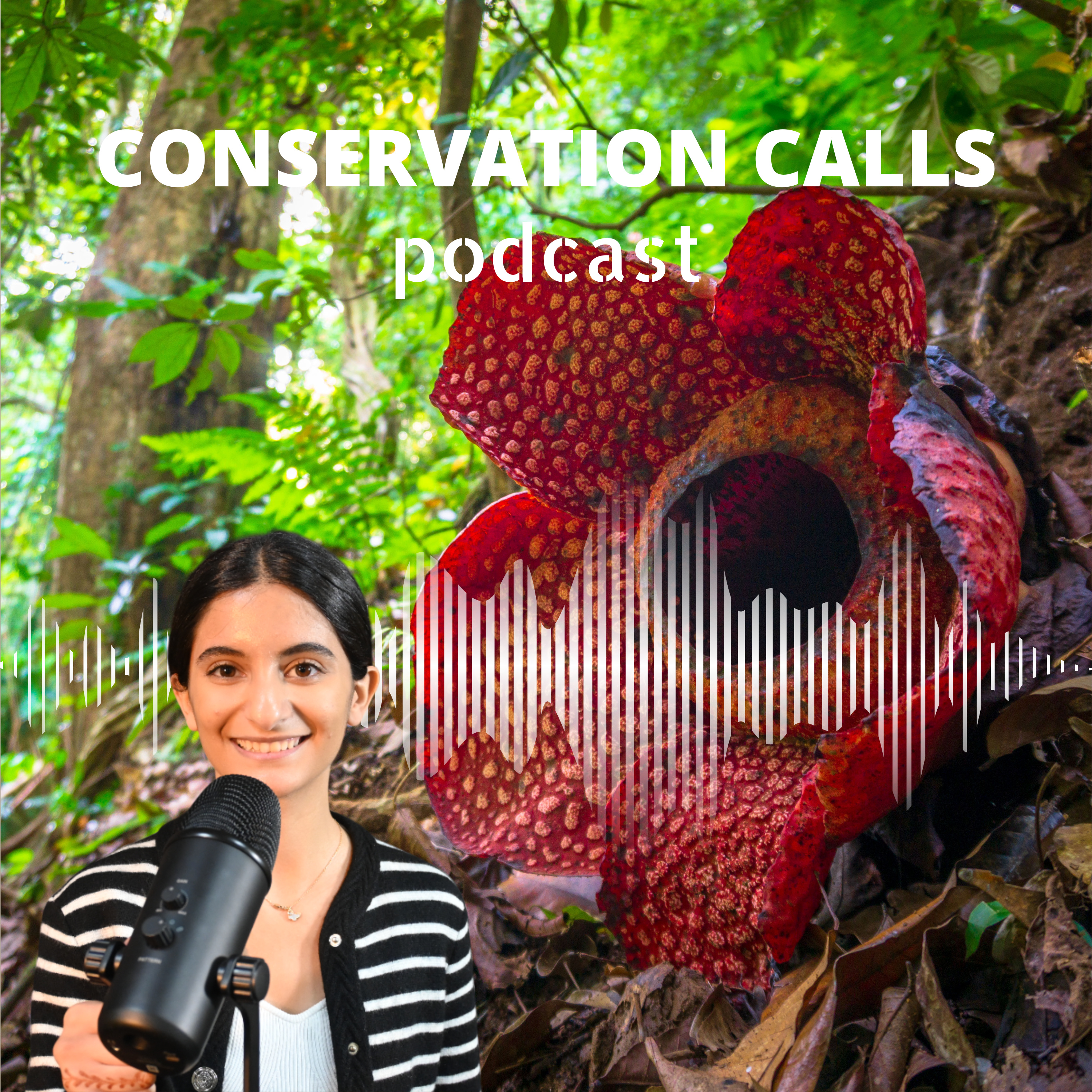 Voices of Change: 15 Years of Conservation Impact episode artwork