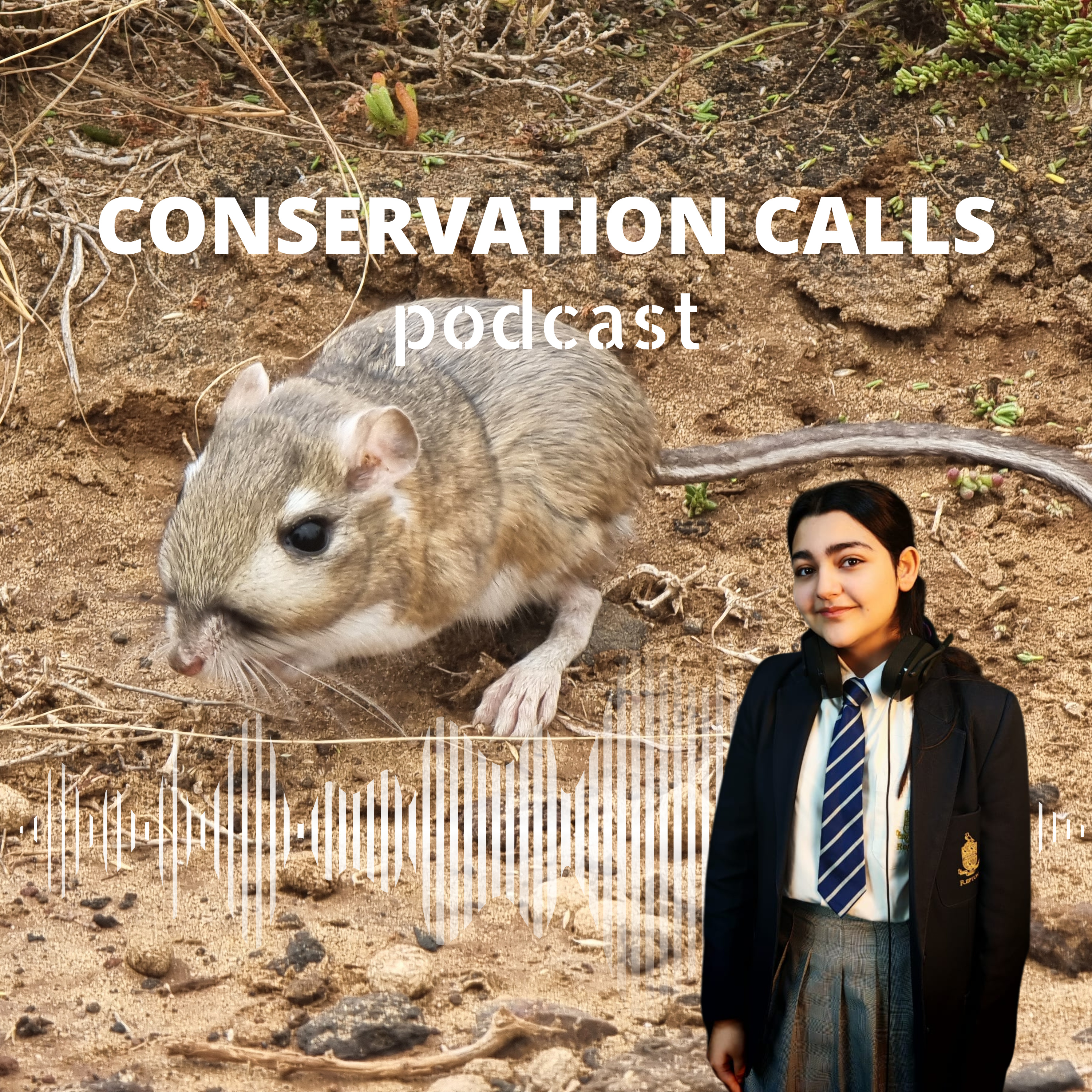 Mexican Miracle: The fight to save the Kangaroo rat episode artwork