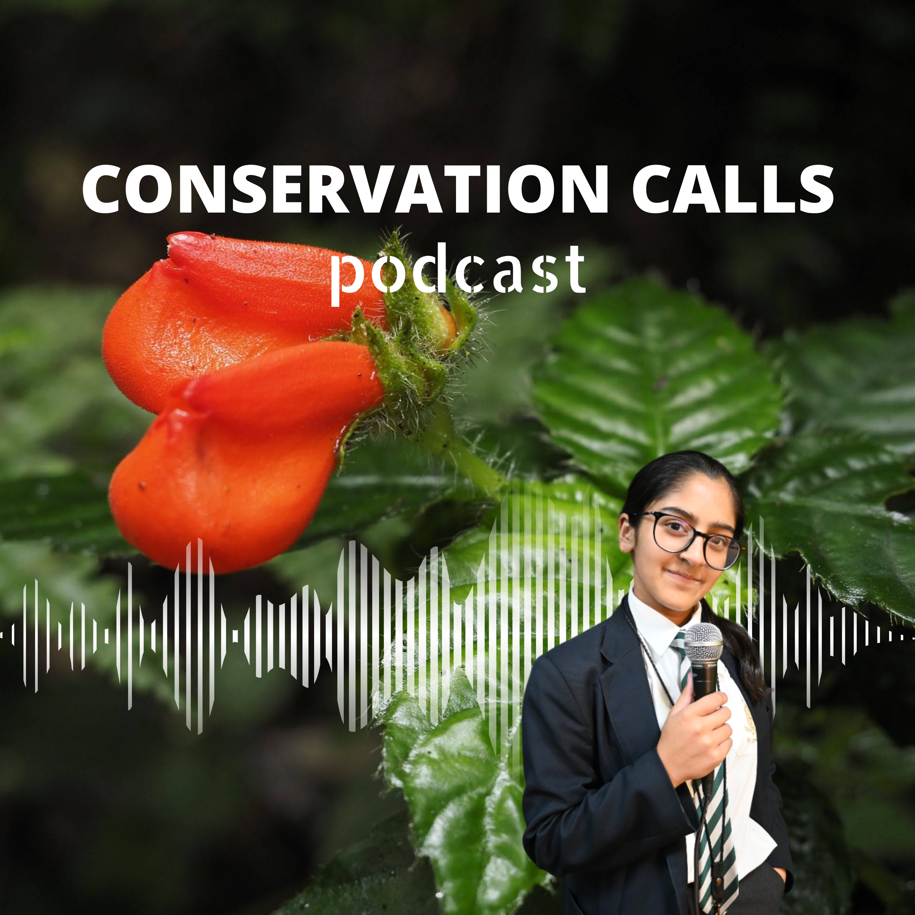 The Last Bloom: The Story of Ecuador's Wildflower Wonder episode artwork