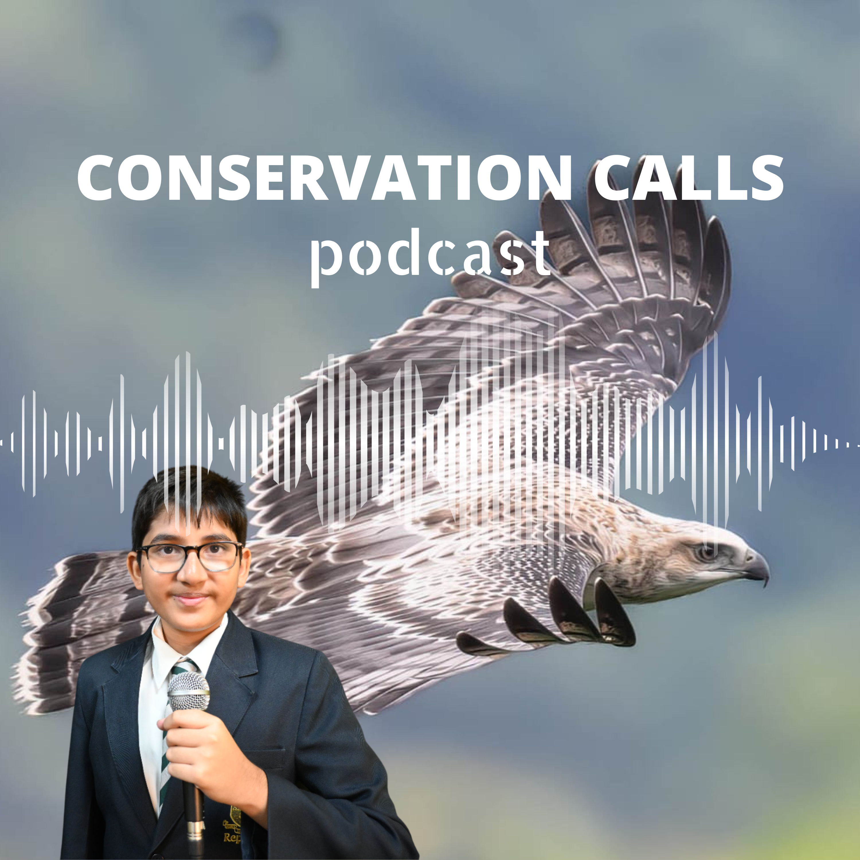 Eagle Eye Adventure: It’s not all black and white for this majestic raptor