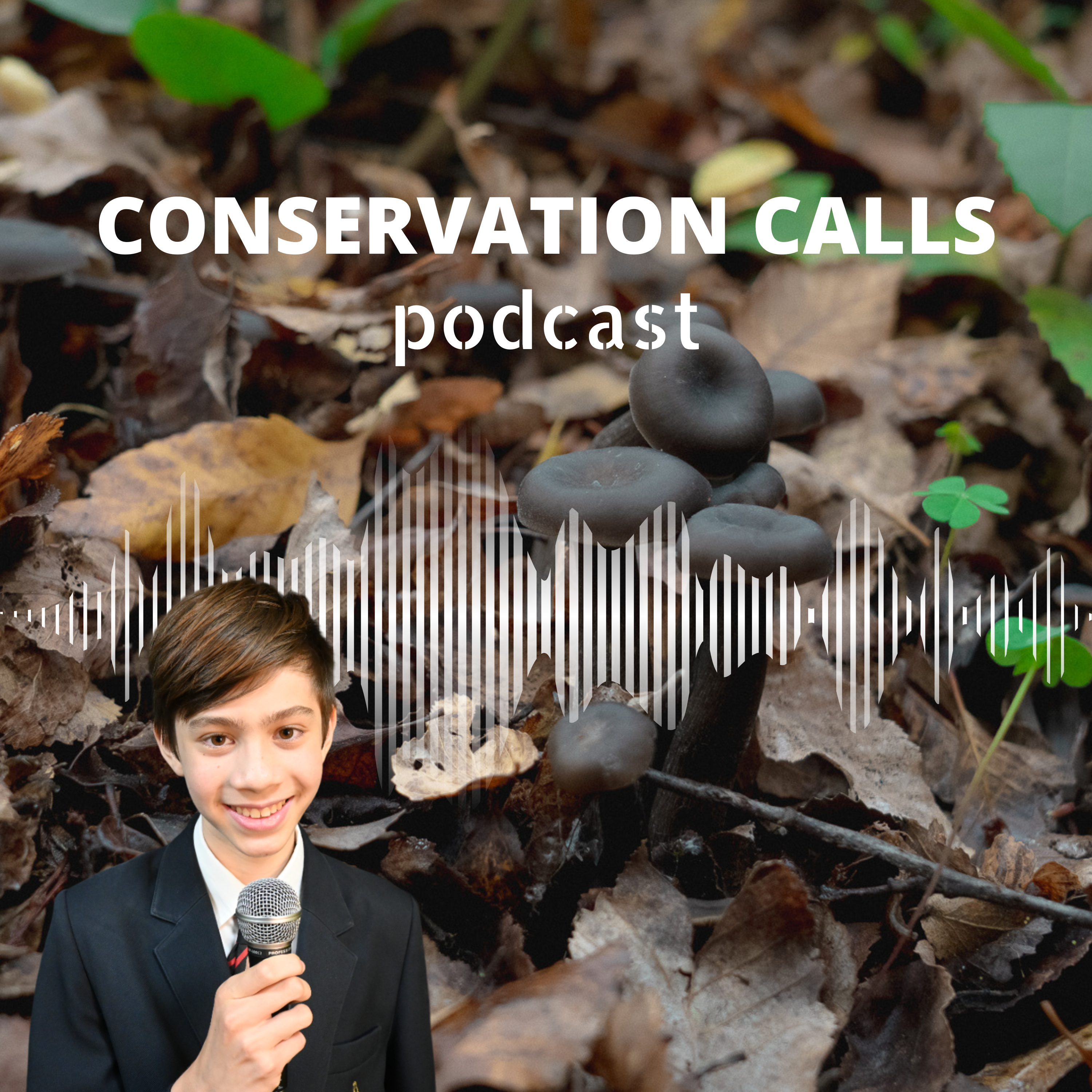 Mushroom Magic: Rediscovering the Big Puma Fungus